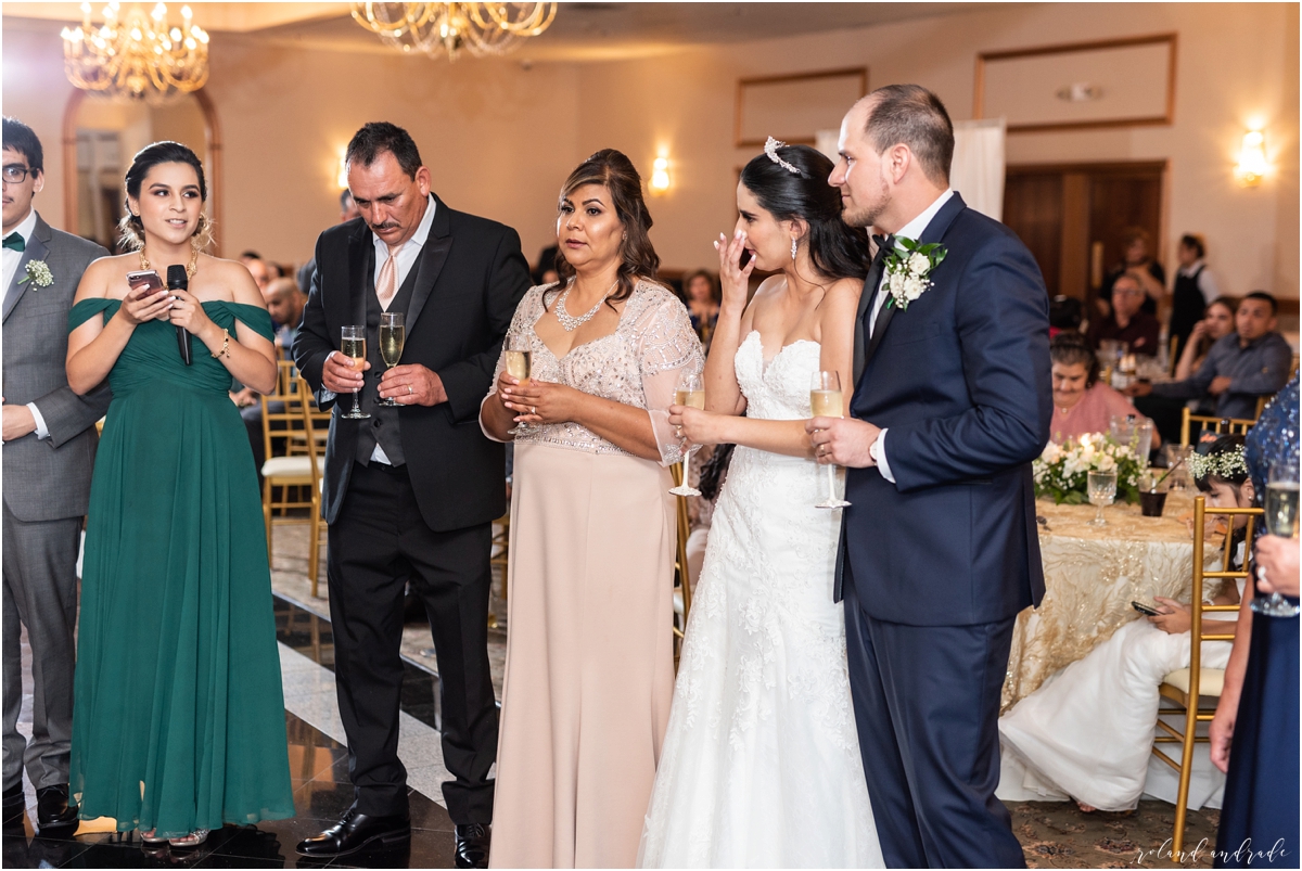 Gaslight Manor Wedding, Aurora Wedding, Green Wedding, Chicago Wedding Photographer, Aurora Wedding Photographer_0072.jpg