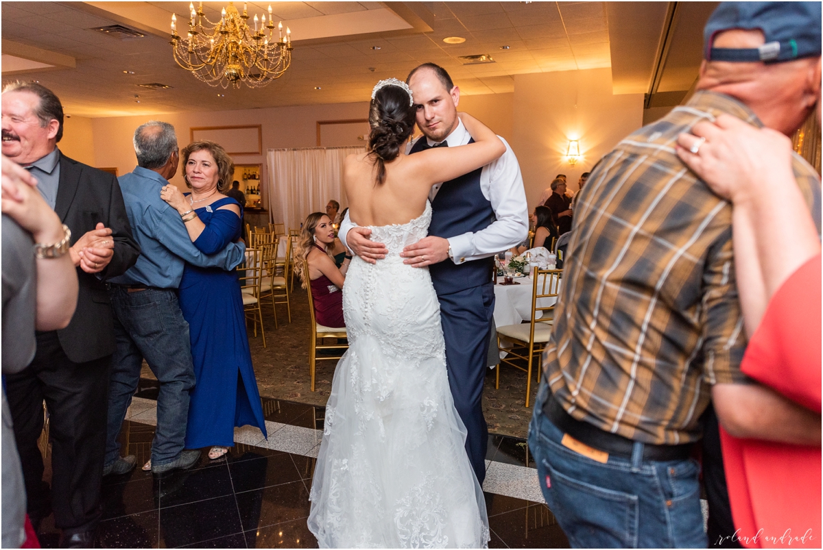 Gaslight Manor Wedding, Aurora Wedding, Green Wedding, Chicago Wedding Photographer, Aurora Wedding Photographer_0076.jpg