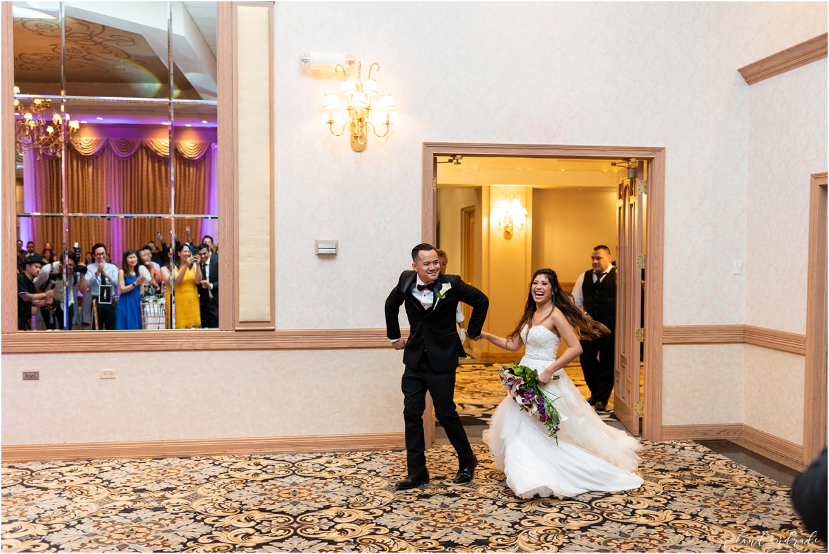 Meridian Banquets Wedding, Rolling Meadows Illinois Wedding, Chicago Wedding Photographer, Aurora Wedding Photographer, Best Photographer In Aurora, Best Photographer In Chicago_0090.jpg