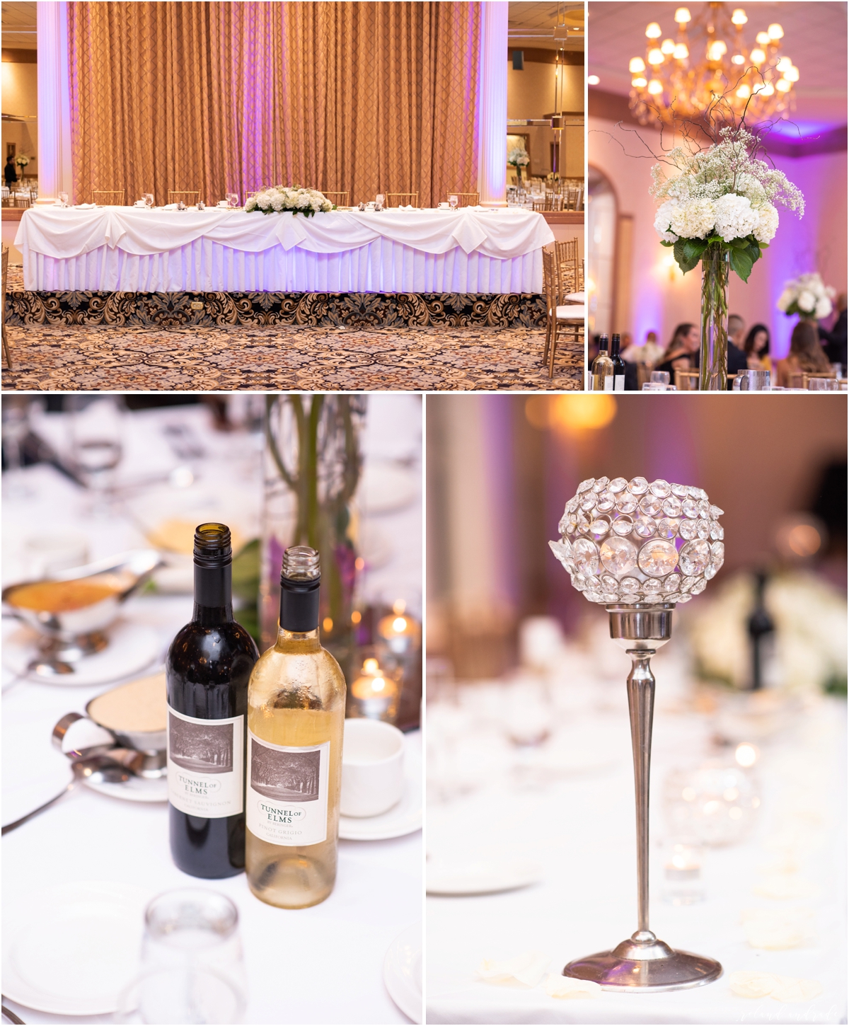 Meridian Banquets Wedding, Rolling Meadows Illinois Wedding, Chicago Wedding Photographer, Aurora Wedding Photographer, Best Photographer In Aurora, Best Photographer In Chicago_0089.jpg