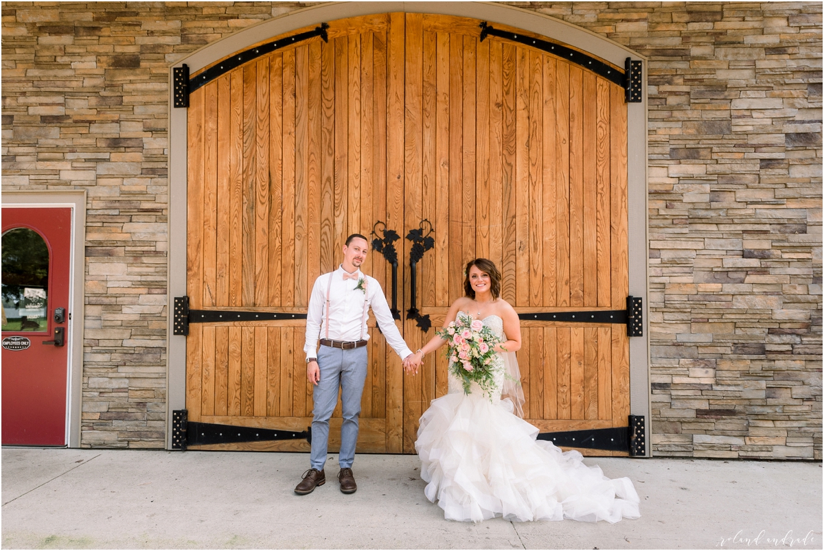 Round Lake Vineyards Wedding, Chicago Wedding Photographer, Aurora Wedding Photographer, Best Photographer In Aurora, Best Photographer In Chicago_0056.jpg