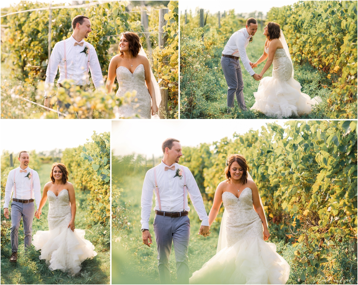 Round Lake Vineyards Wedding, Chicago Wedding Photographer, Aurora Wedding Photographer, Best Photographer In Aurora, Best Photographer In Chicago_0060.jpg