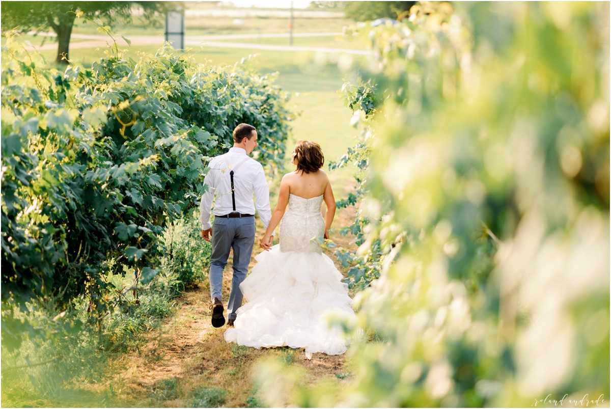 Round Lake Vineyards Wedding, Chicago Wedding Photographer, Aurora Wedding Photographer, Best Photographer In Aurora, Best Photographer In Chicago_0069.jpg