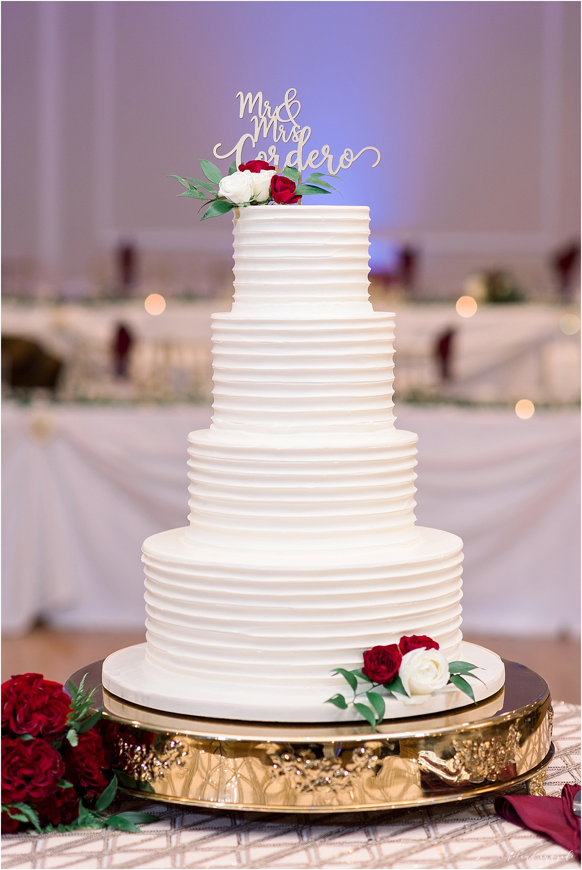 Alpine Banquets Wedding, Chicago Wedding Photographer, Naperville Wedding Photographer, Best Photographer In Aurora, Best Photographer In Chicago_0060.jpg