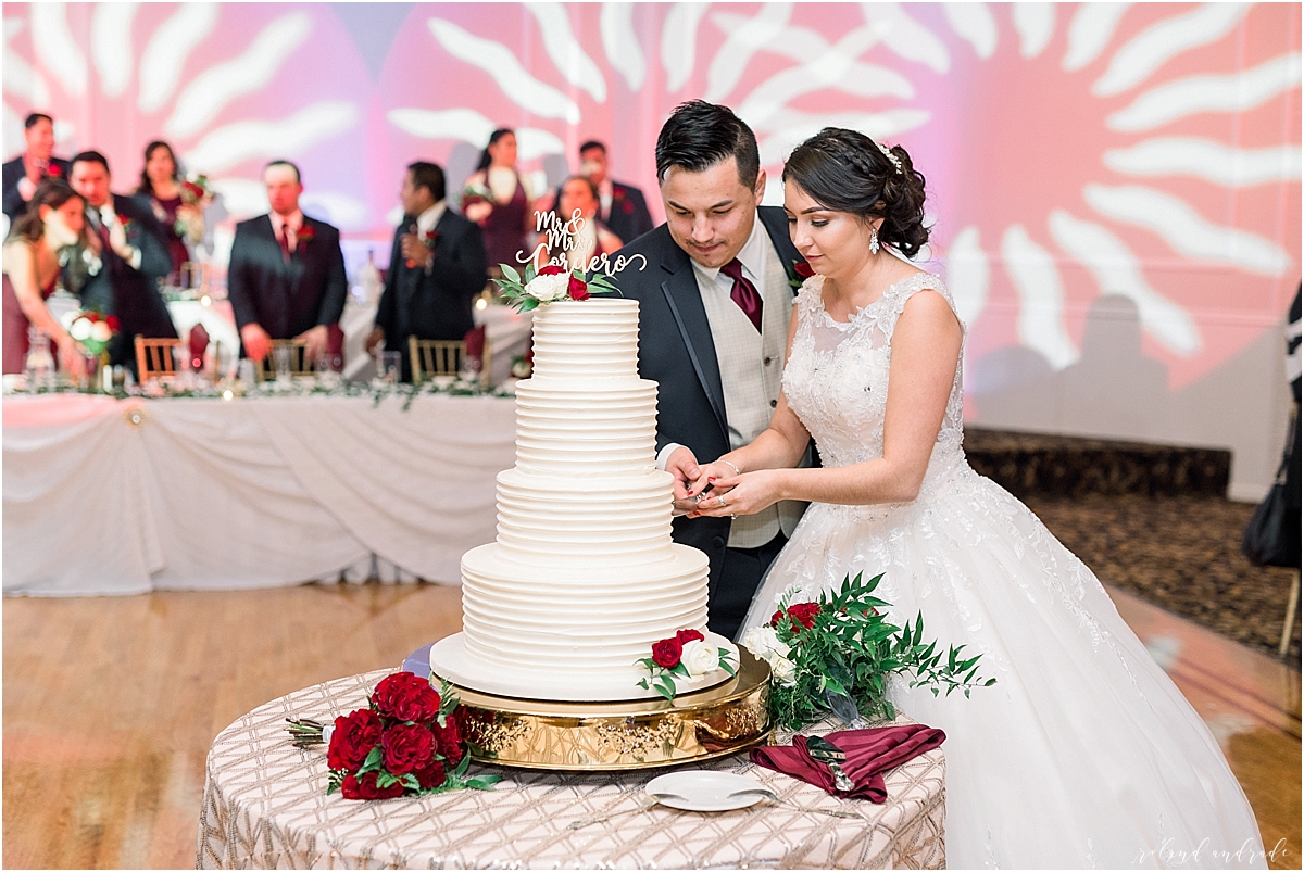 Alpine Banquets Wedding, Chicago Wedding Photographer, Naperville Wedding Photographer, Best Photographer In Aurora, Best Photographer In Chicago_0067.jpg