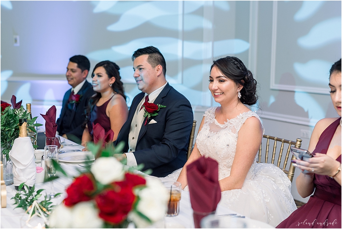 Alpine Banquets Wedding, Chicago Wedding Photographer, Naperville Wedding Photographer, Best Photographer In Aurora, Best Photographer In Chicago_0070.jpg