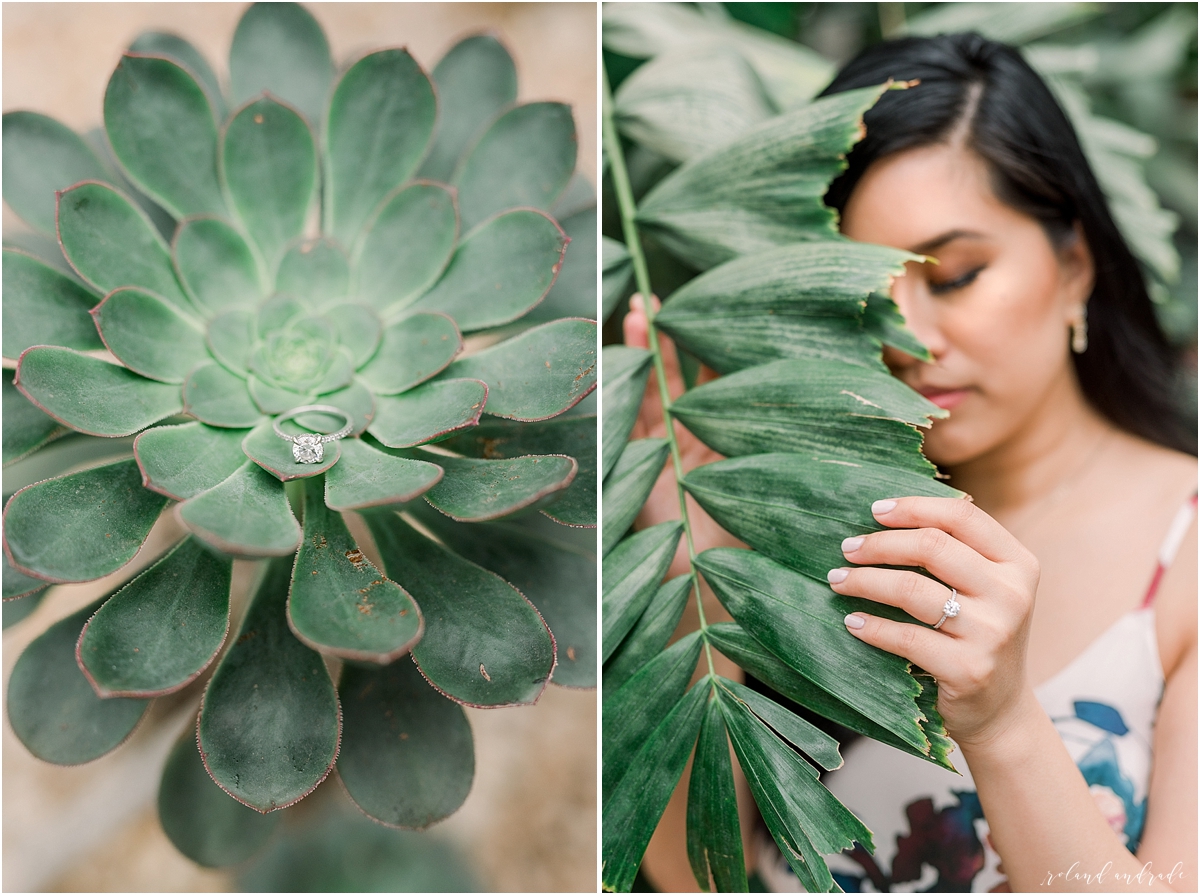 Chicago Engagement Session, Garfield Park Conservatory Chicago Engagement Session, Naperville Wedding Photographer, Best Photographer In Aurora, Best Photographer In Chicago_0030.jpg