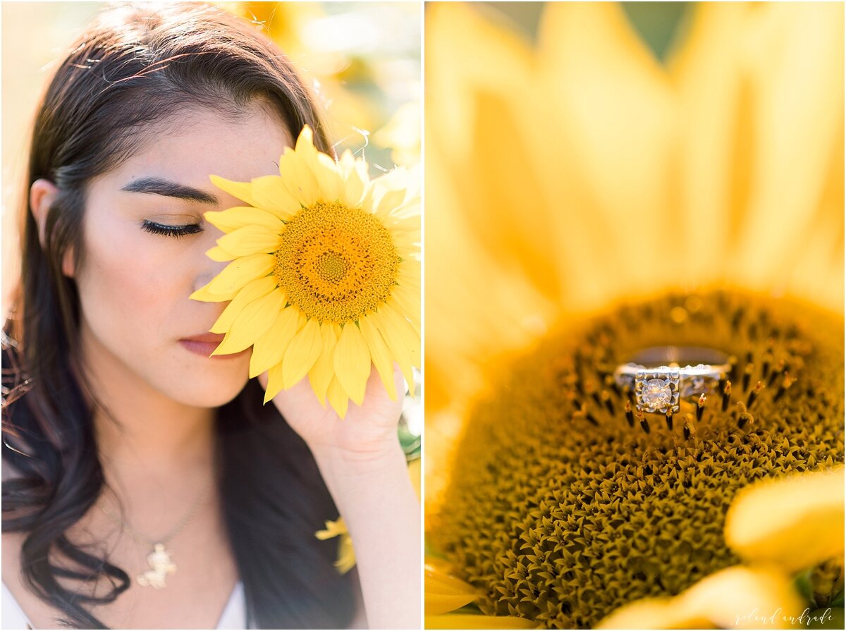 Sunflower Field Engagement Session, Graue Mill Engagement Session14.jpg