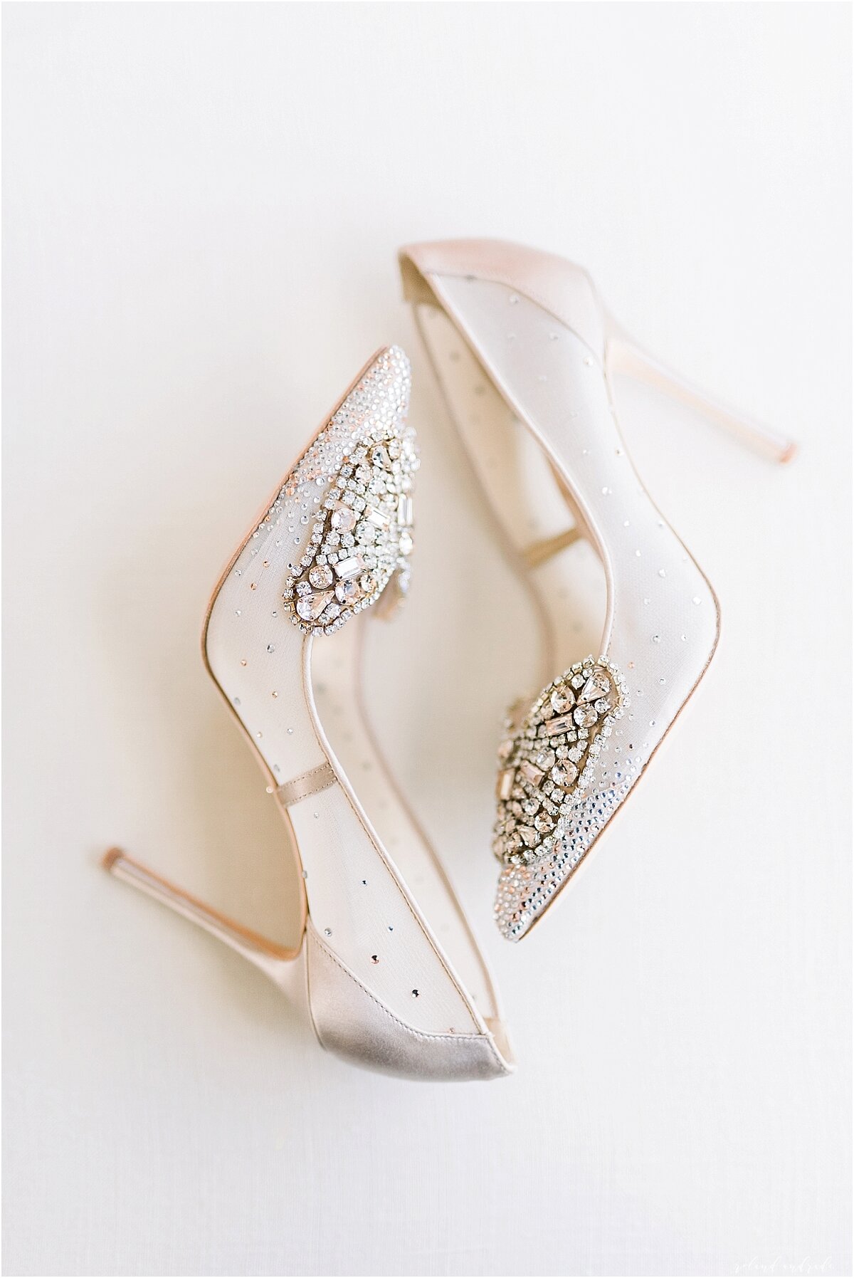 Cinderella's Shoe - Chicago Wedding Blog