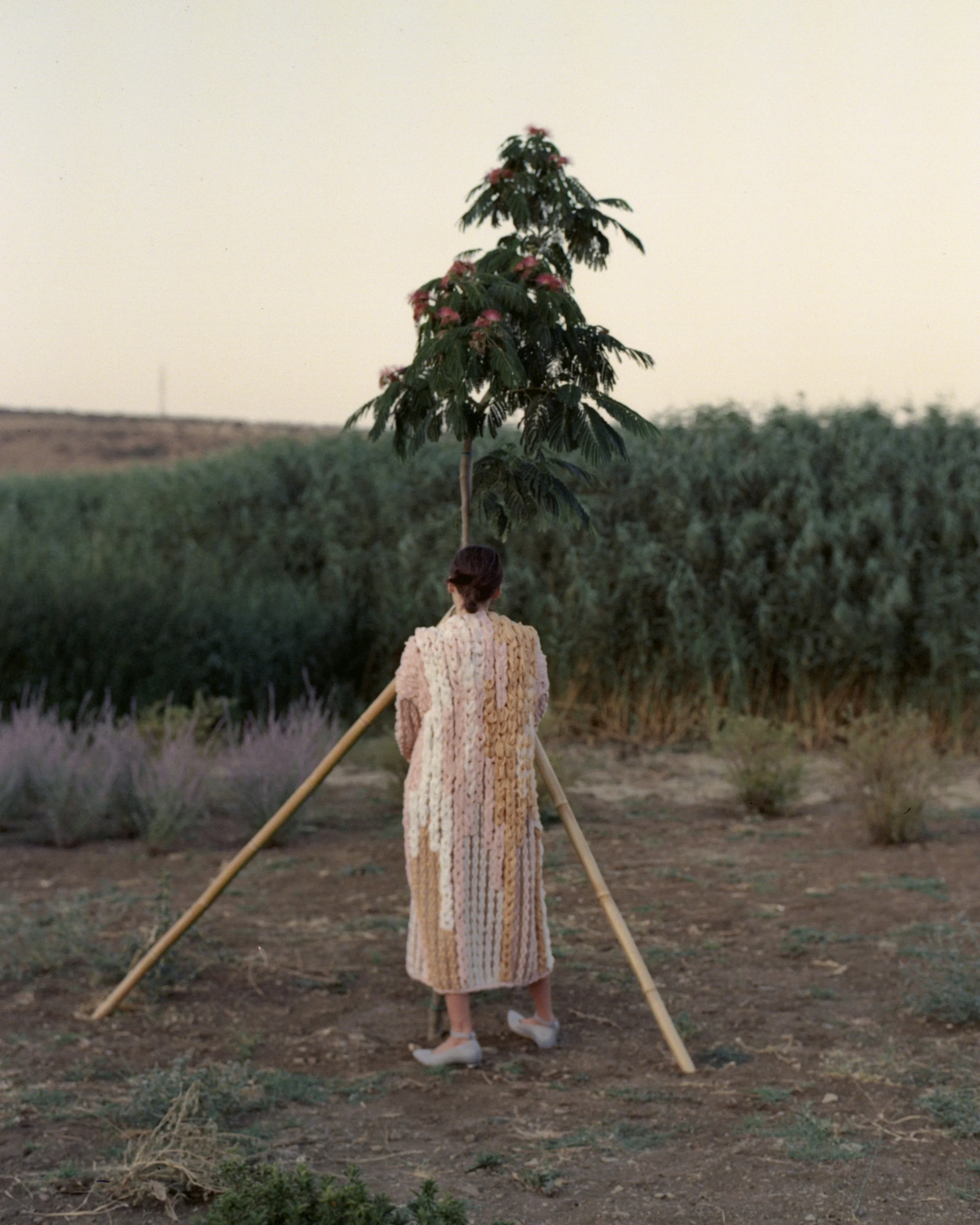 Lalo_SS18_04_SM.jpg