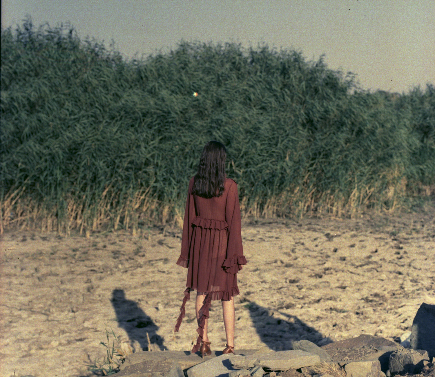 Lalo_SS18_27_SM.jpg