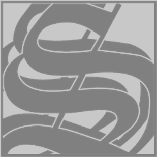 SS BY SHABUNIN