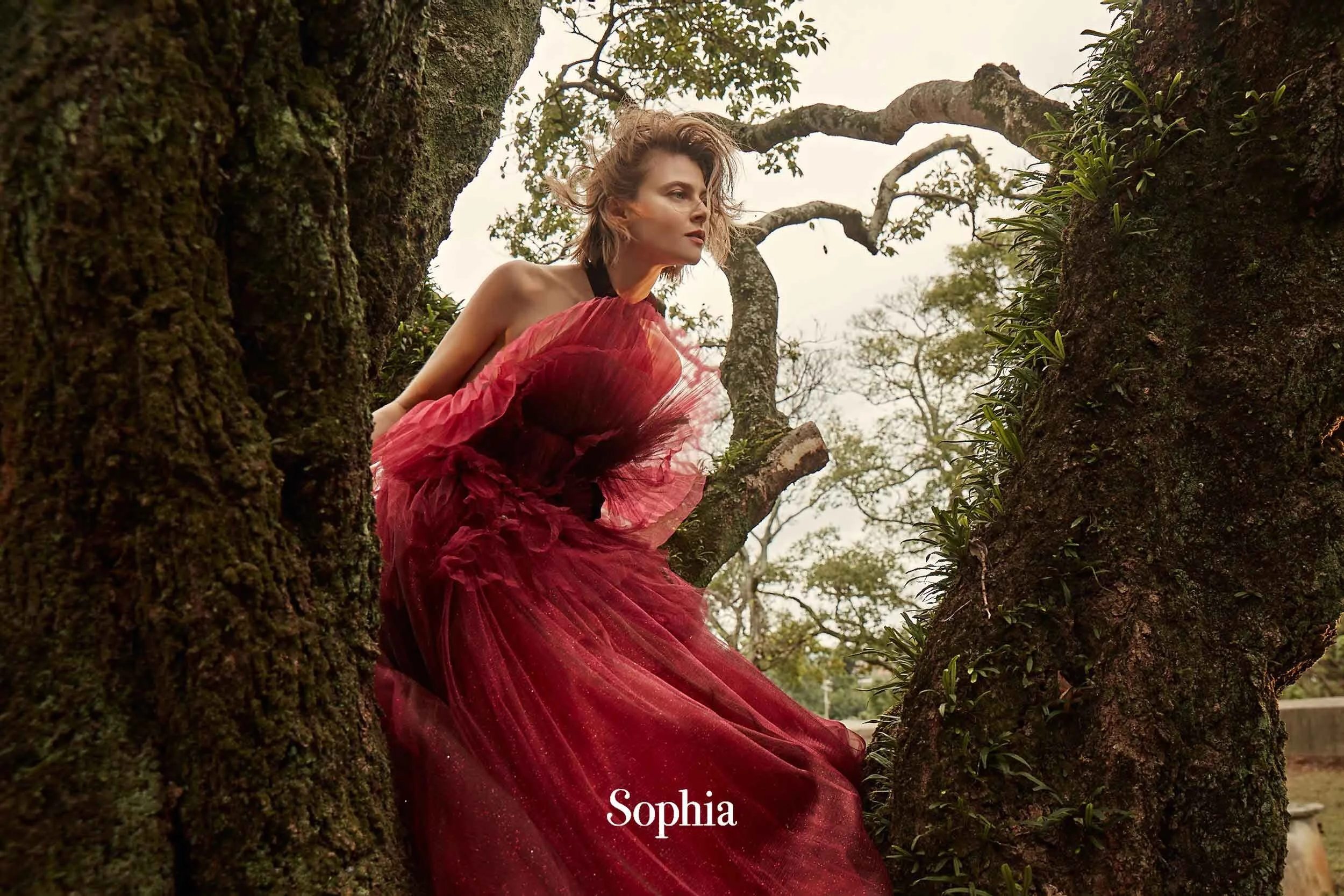 2021 蘇菲雅新作秋冬禮服流行趨勢，重點一次看！ 