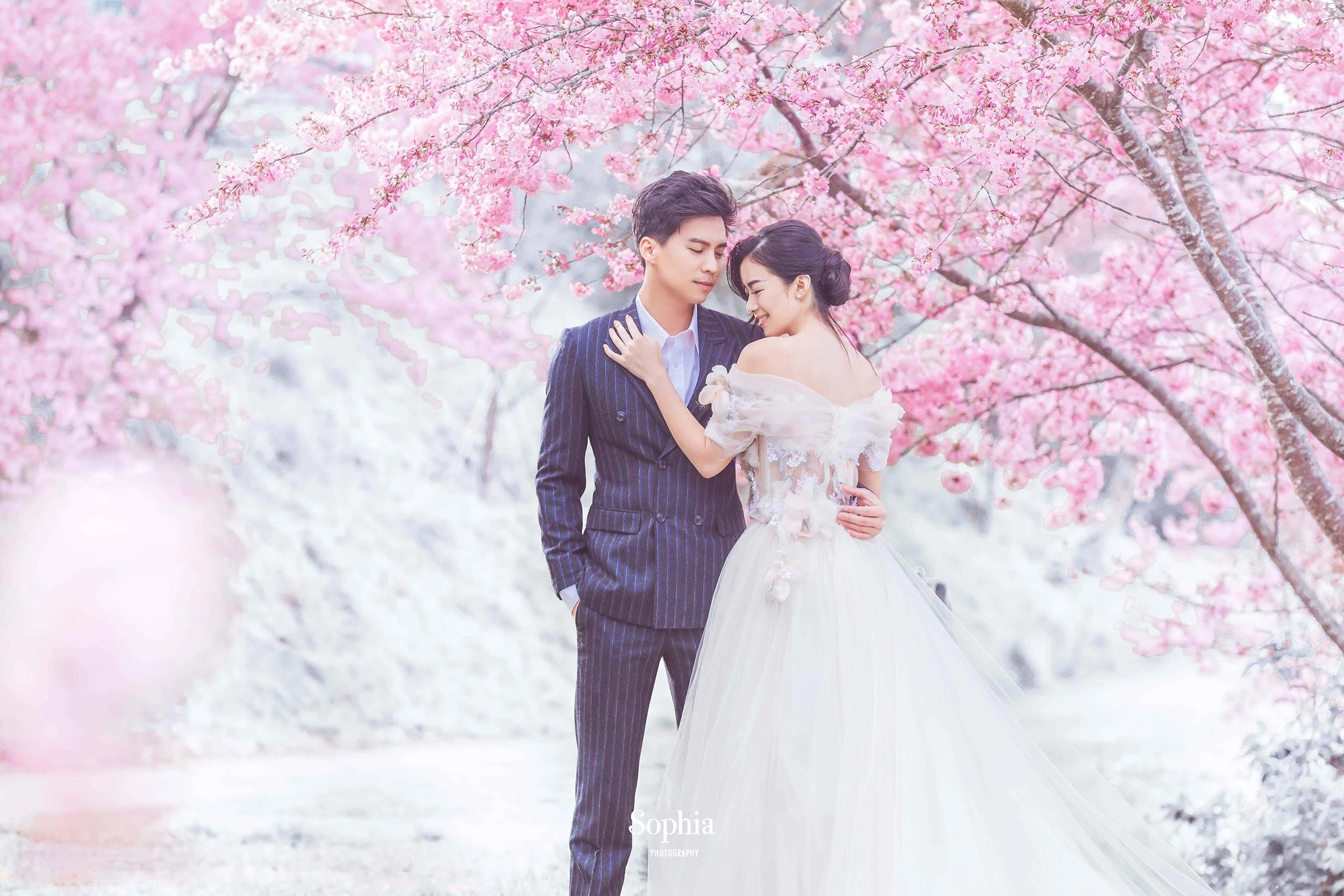  蘇菲雅婚紗-外景婚紗照-武陵農場婚紗-櫻花婚紗 