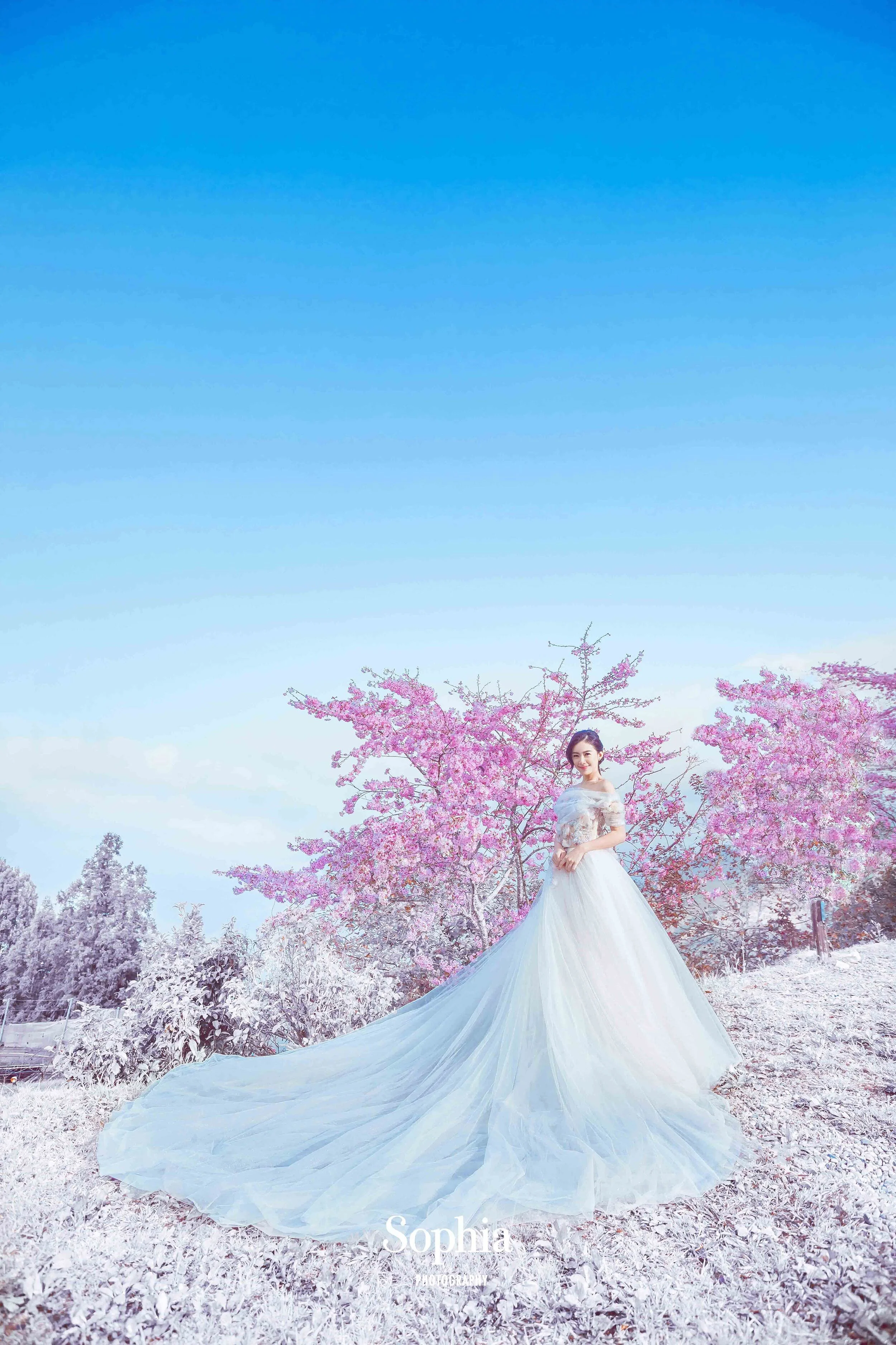  蘇菲雅婚紗-外景婚紗照-武陵農場婚紗-櫻花婚紗 