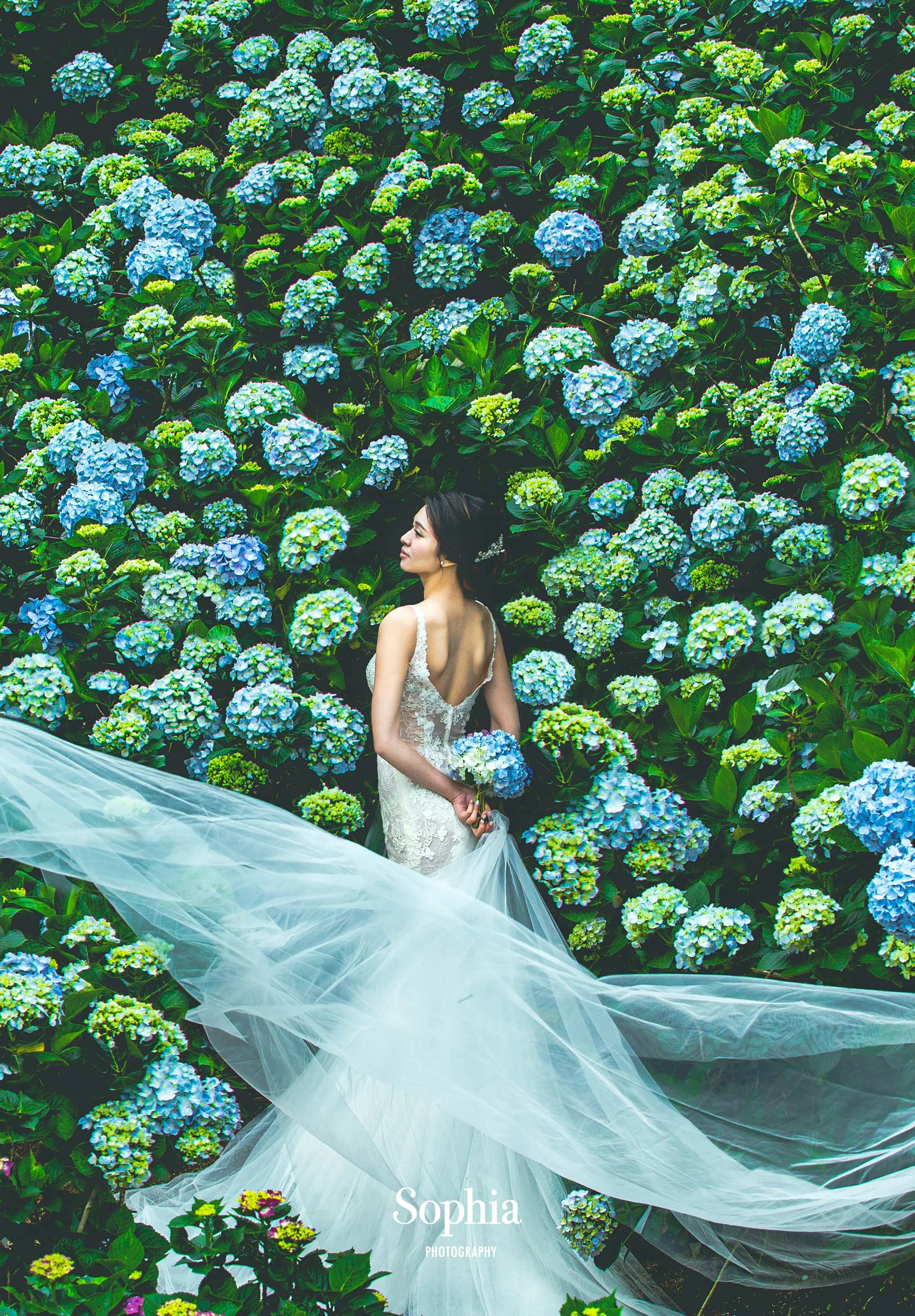  蘇菲雅婚紗-外景婚紗照-繡球花婚紗 