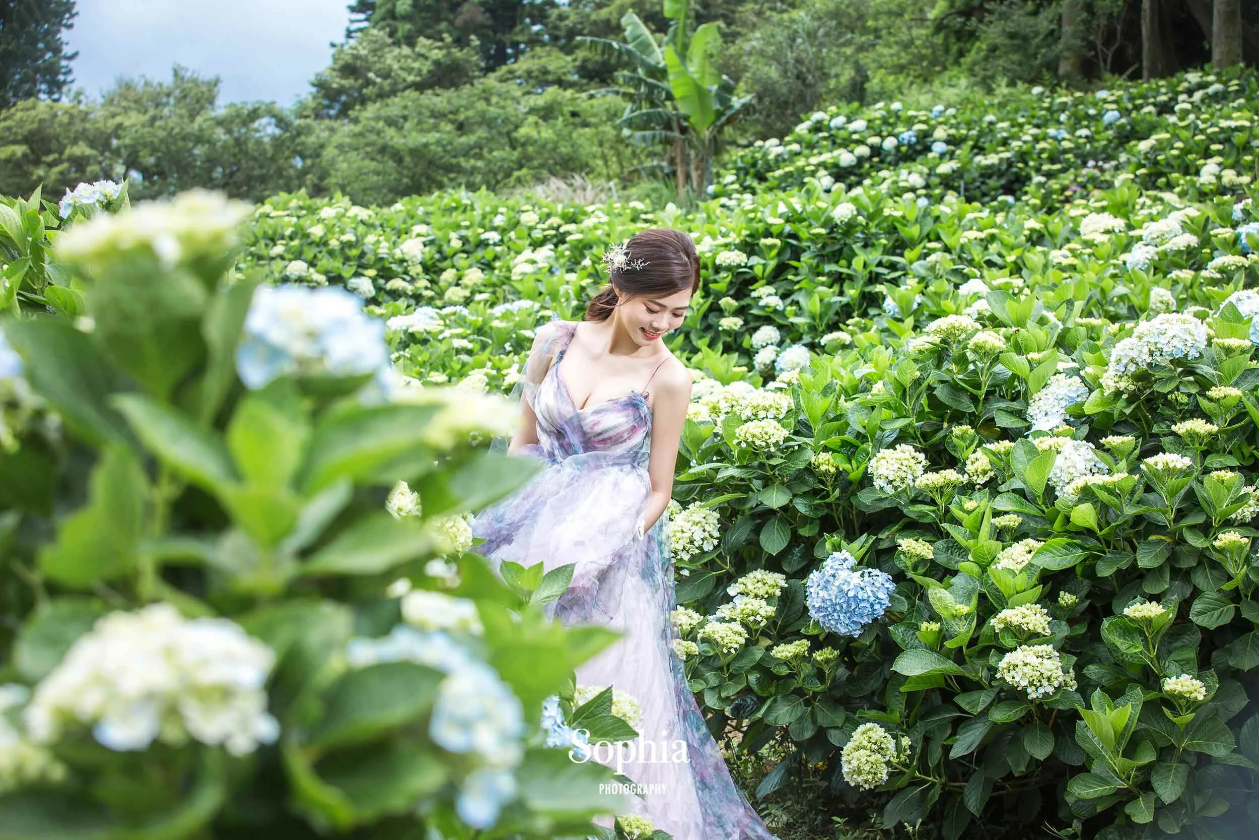  蘇菲雅婚紗-外景婚紗照-陽明山-繡球花 