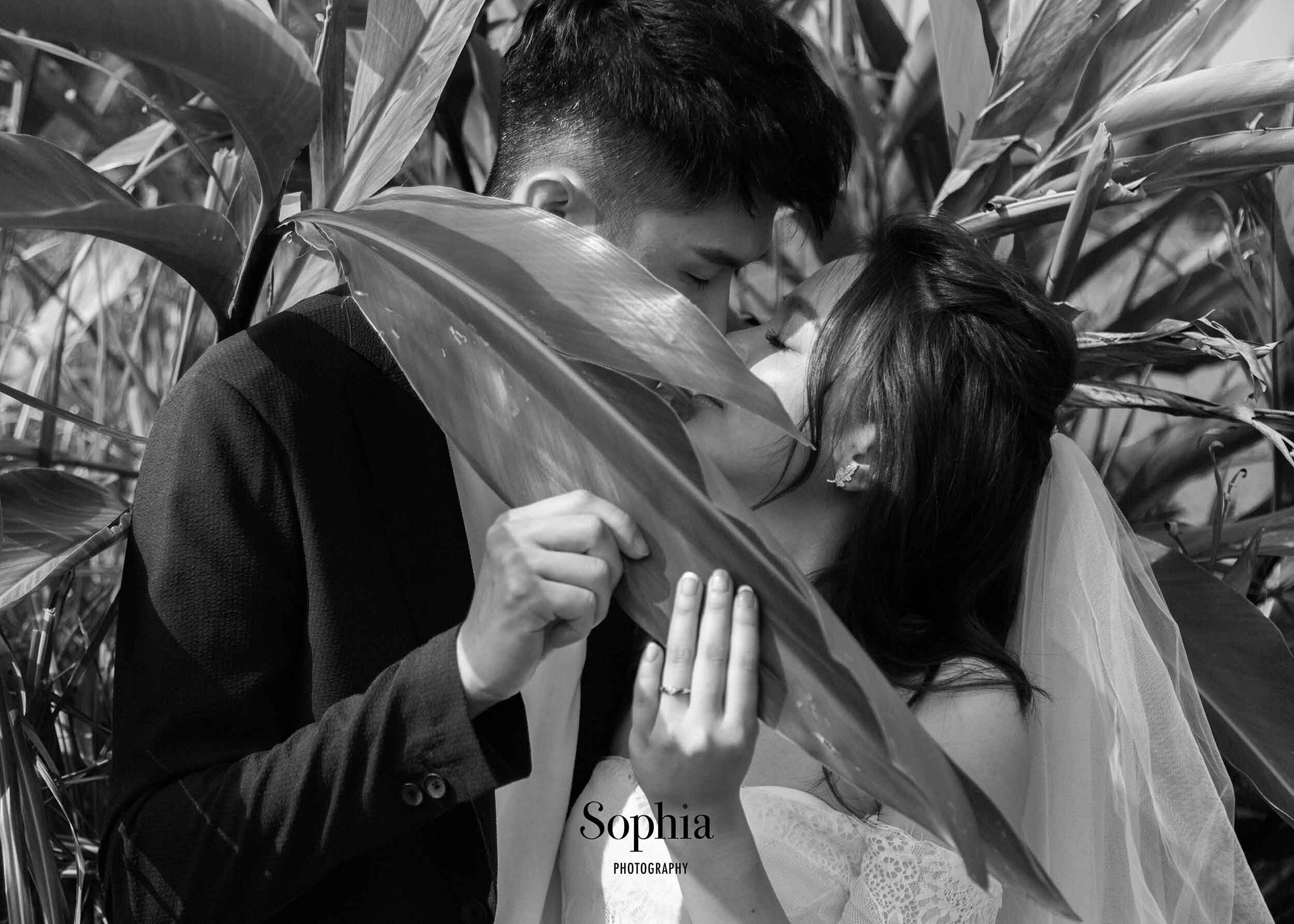  蘇菲雅婚紗-白色狂熱聯名-陽明山-外景-黑白-婚紗照 