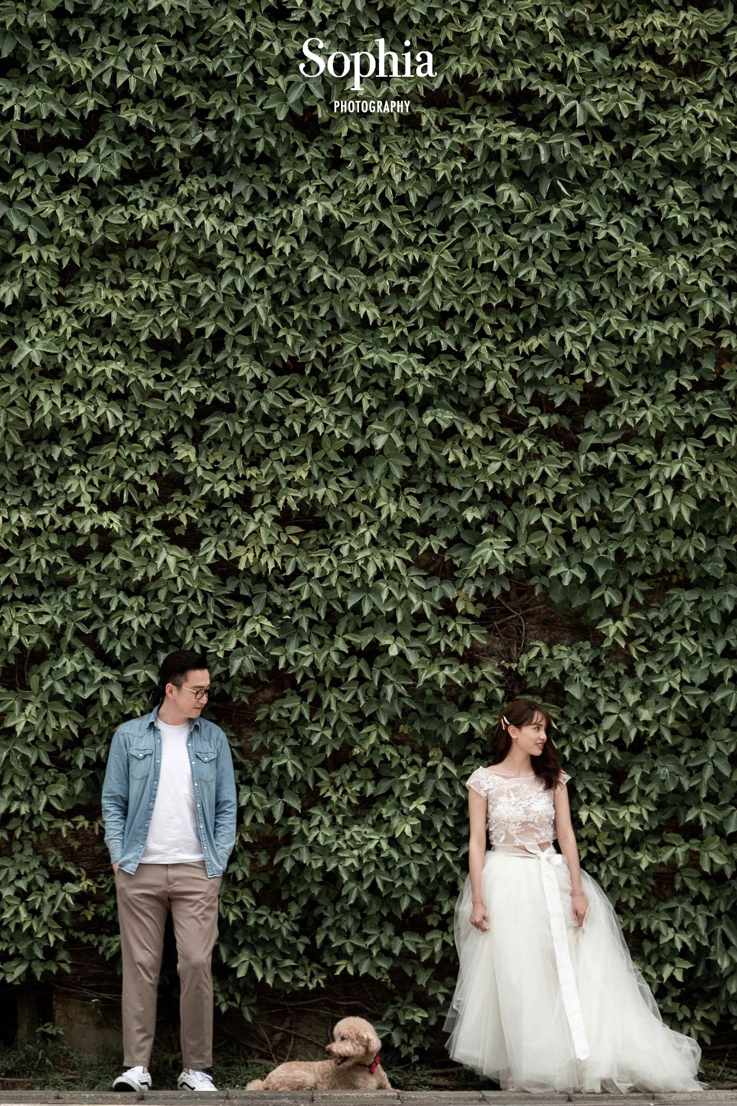  蘇菲雅婚紗-白色狂熱聯名-街景-外景-清婚紗-寵物-人像-婚紗照 