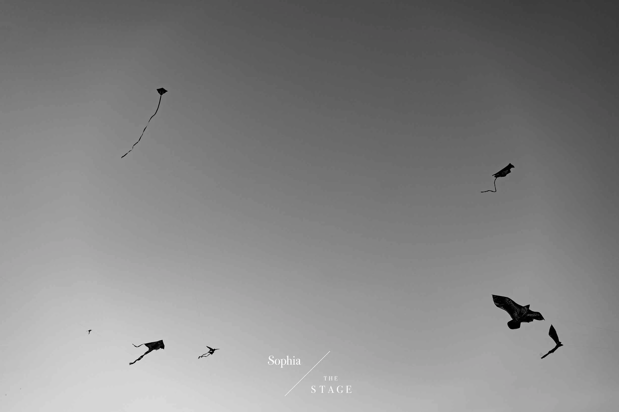  蘇菲雅婚紗-外景-森林-美式婚紗照-風景-龜山島-草原-風箏 