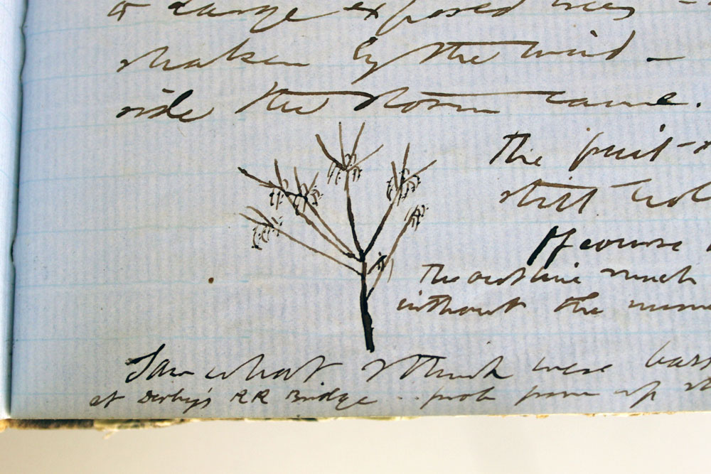Thoreau-Journal-7.jpg
