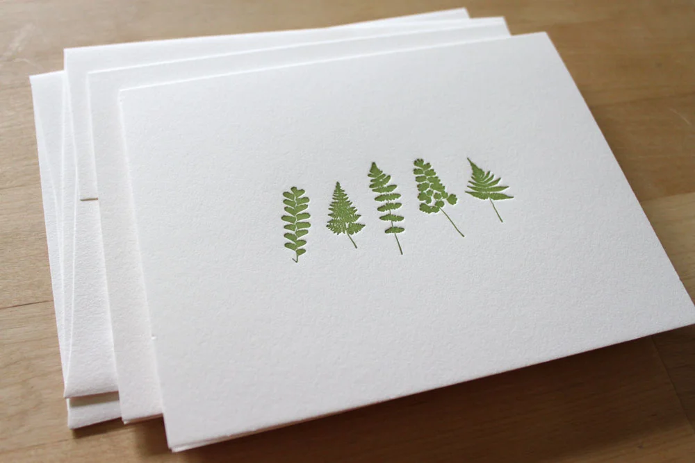 fern-cards-2.jpg