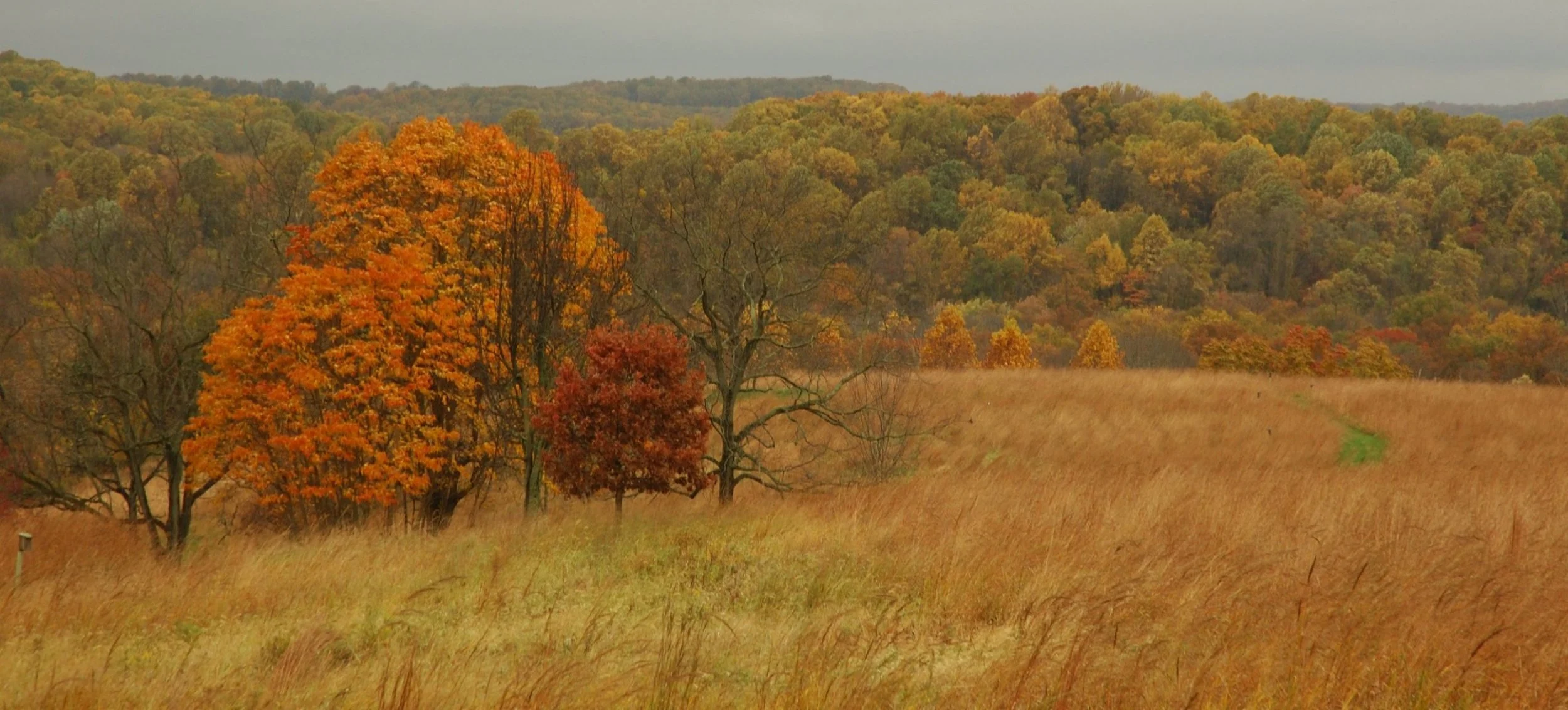Photo credit: Natural Lands