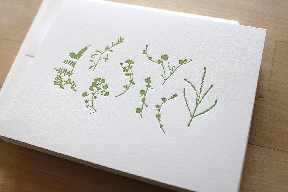 Pressed-Plants-Card-4.jpg
