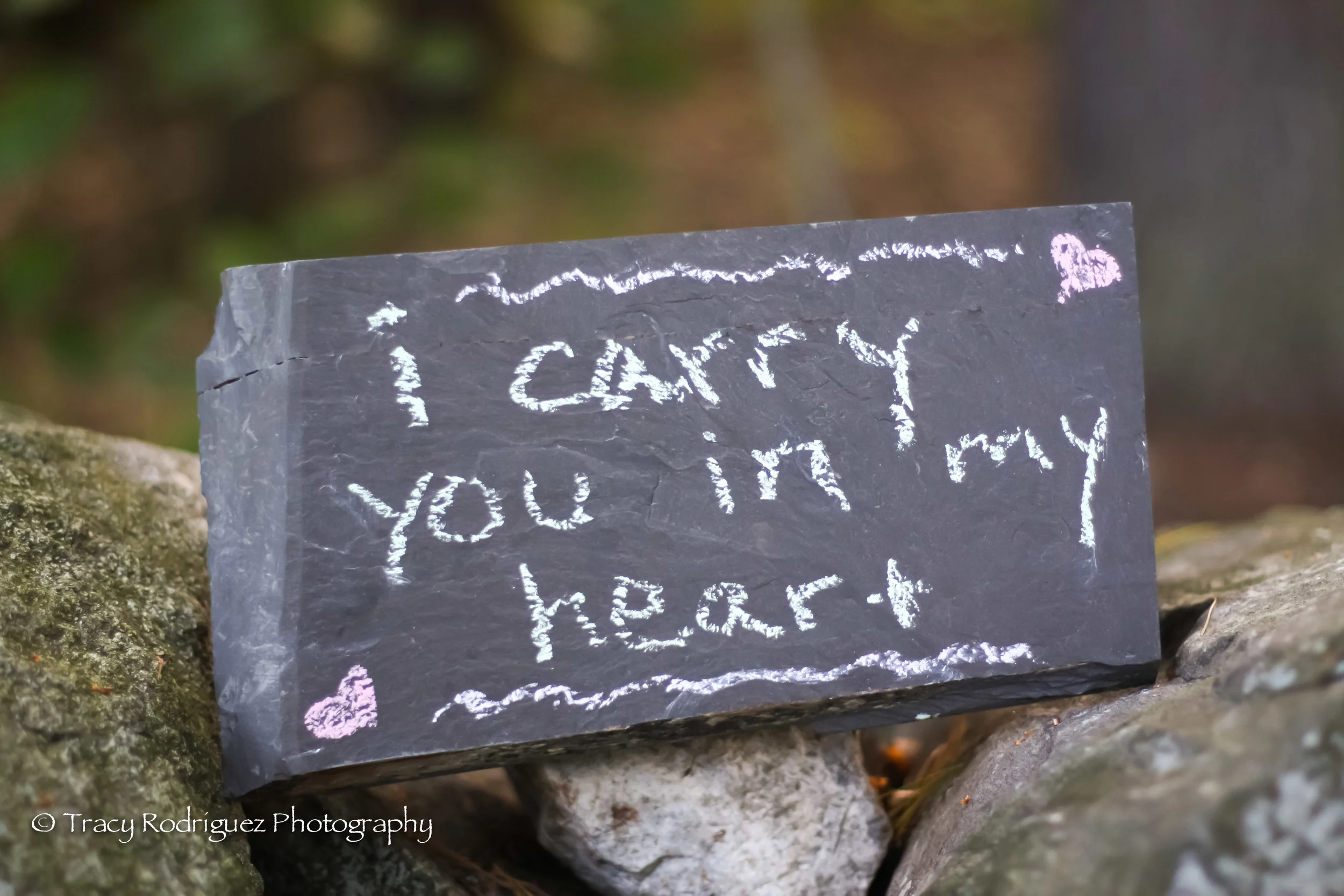 Tracy_Rodriguez_Photography_Blog-0032.jpg