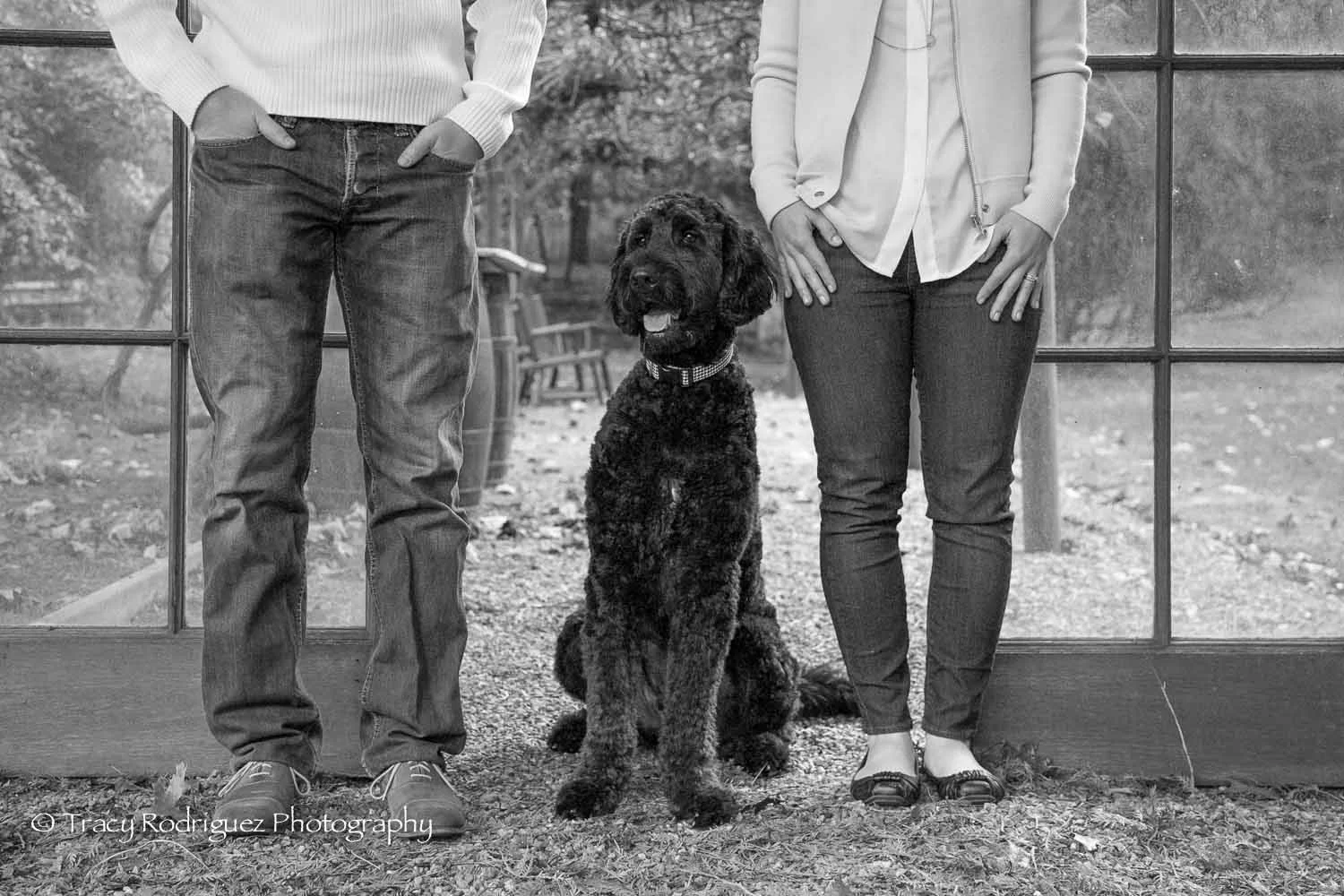 Tracy_Rodriguez_Photography_Blog-4685.jpg