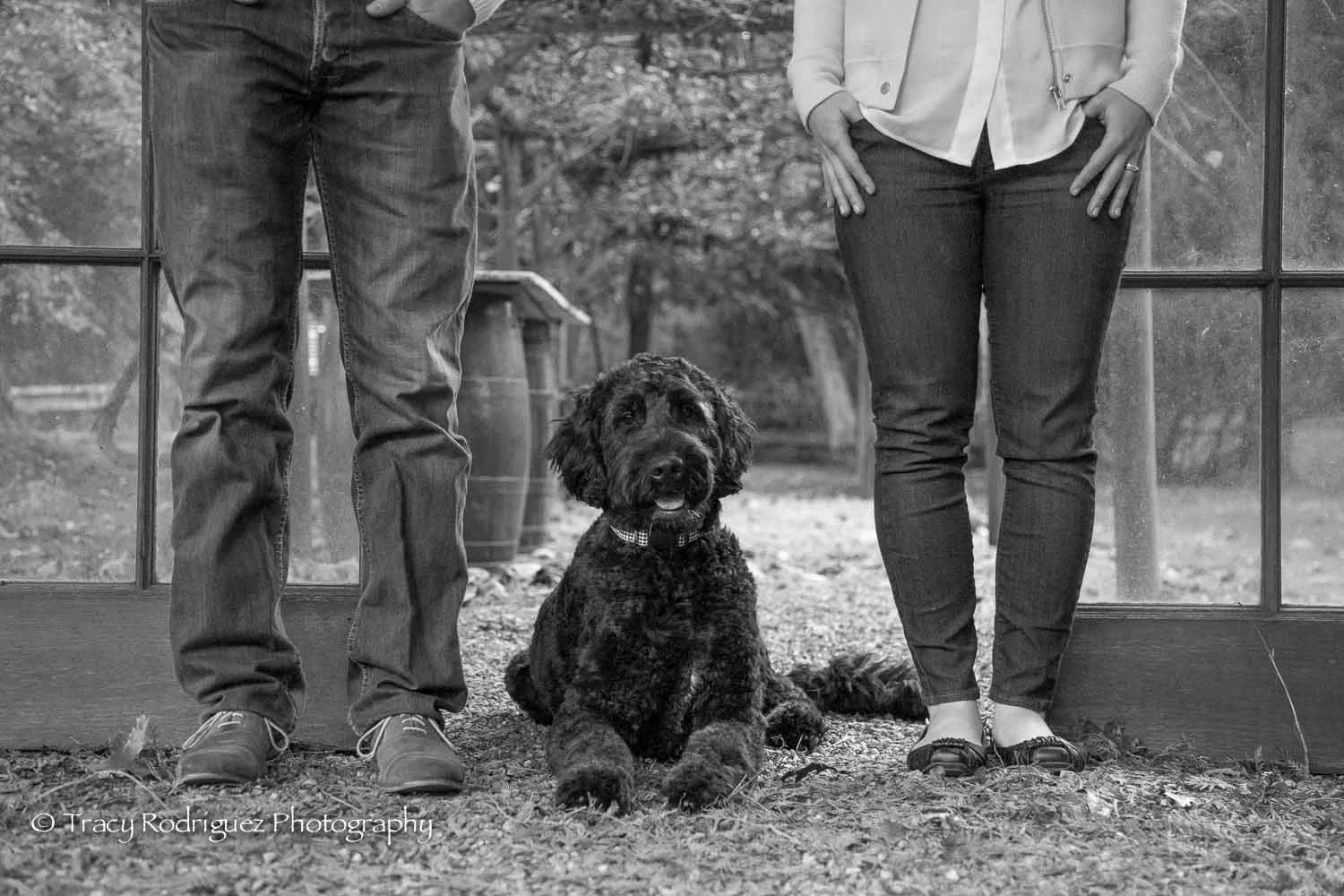 Tracy_Rodriguez_Photography_Blog-4695.jpg
