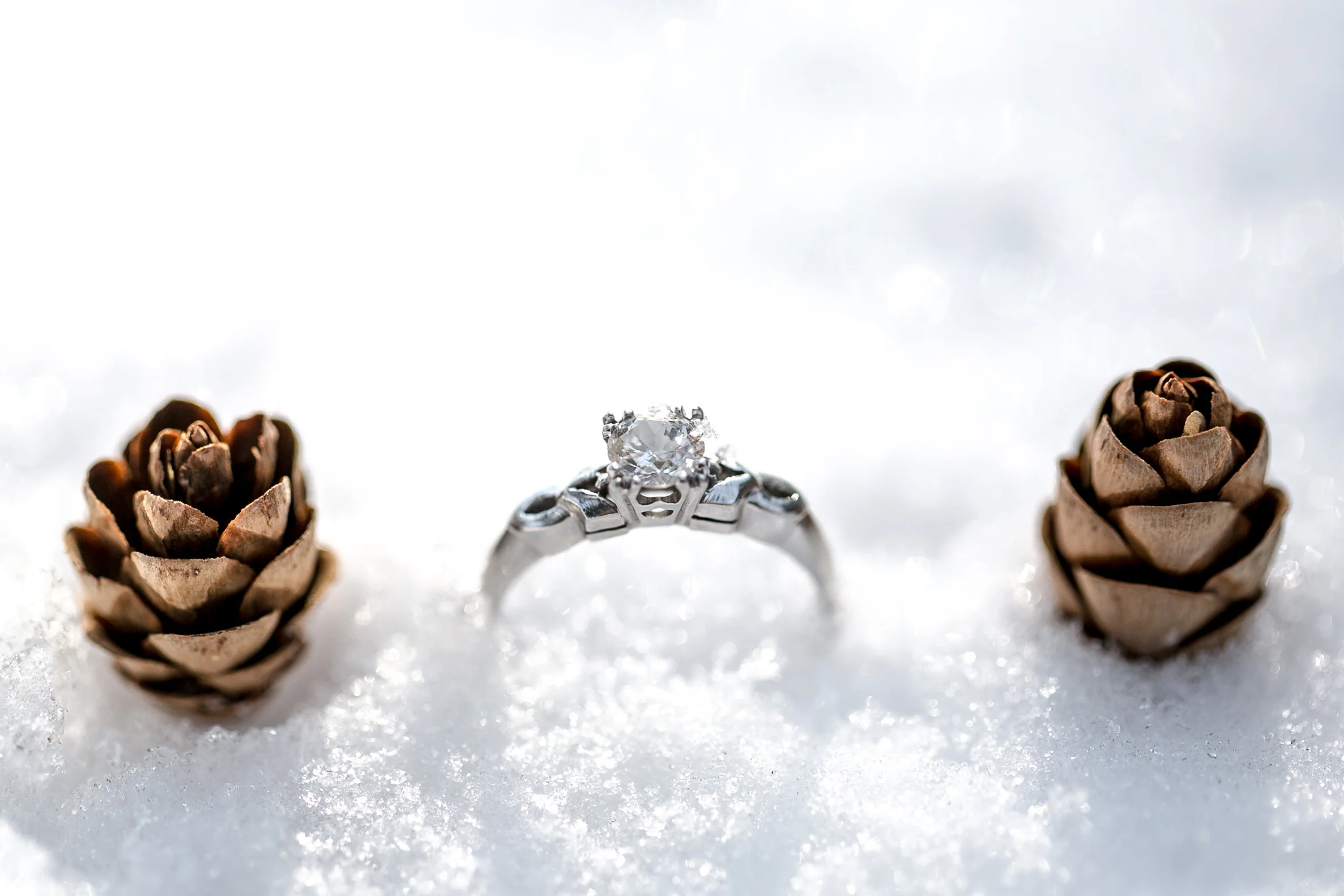 Tracy_Rodriguez_Photography_Blog-1185.jpg