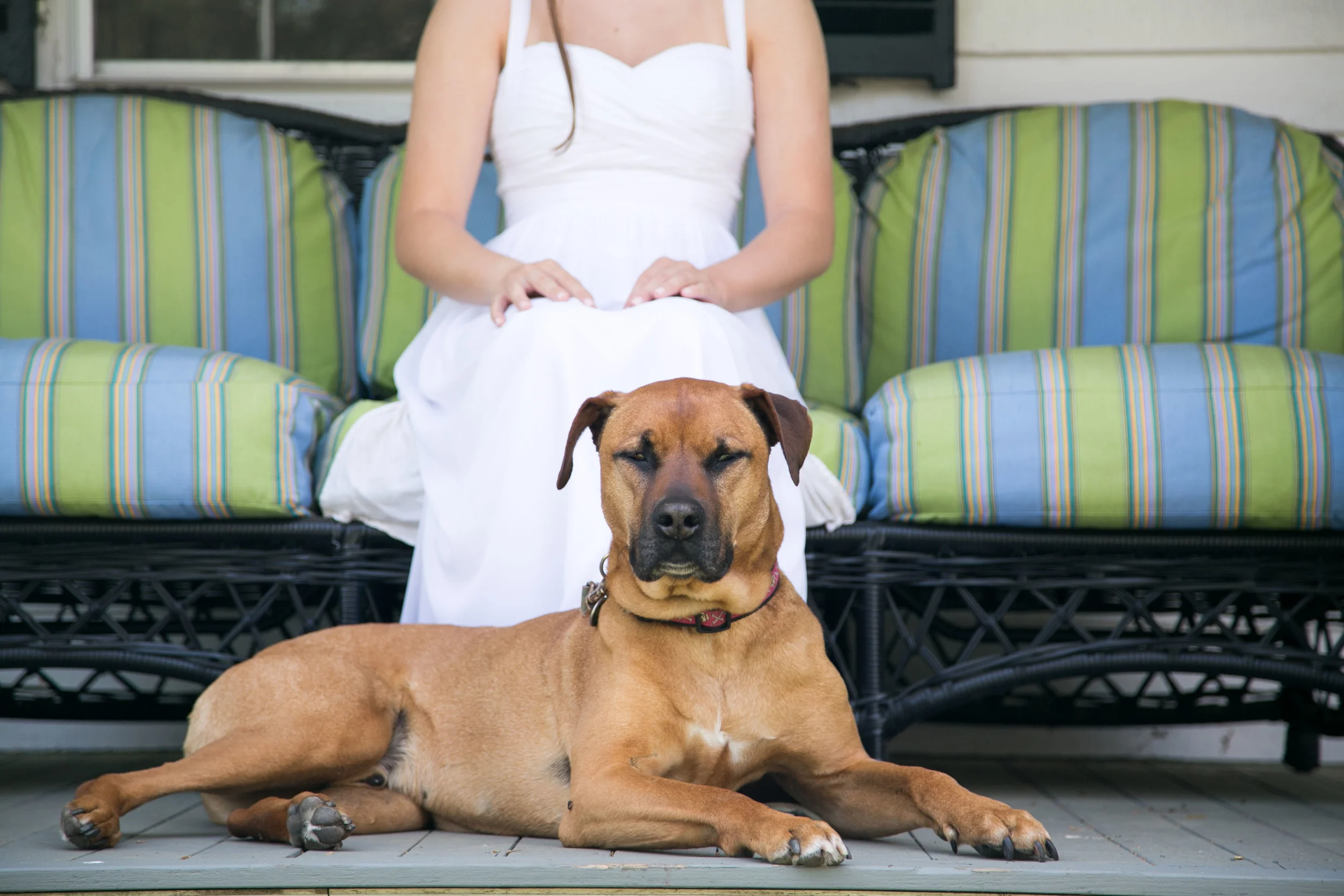 Tracy_Rodriguez_Photography_Blog-1517.jpg