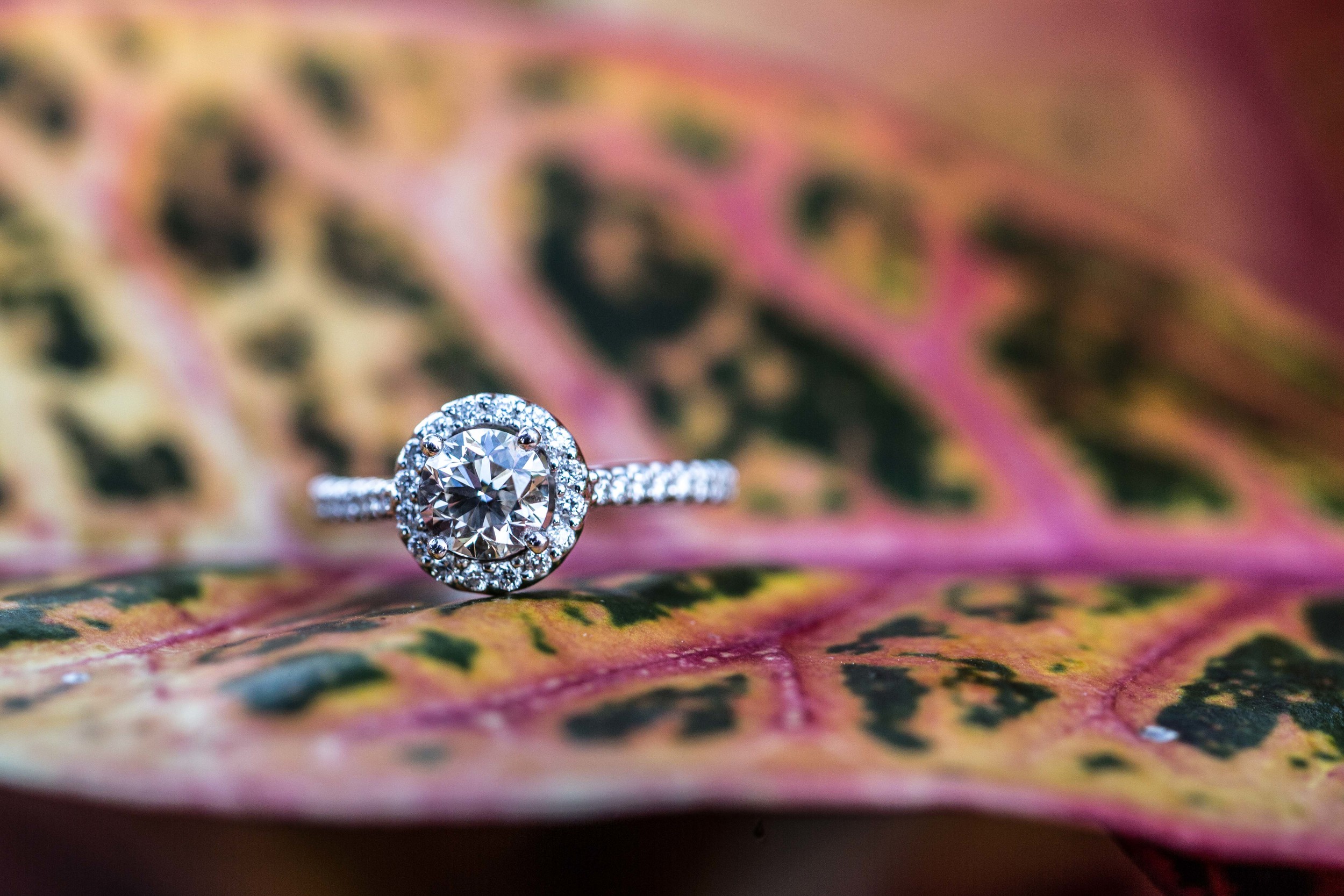 Tracy-Rodriguez-Photography-Blog-Engagement-5041.jpg