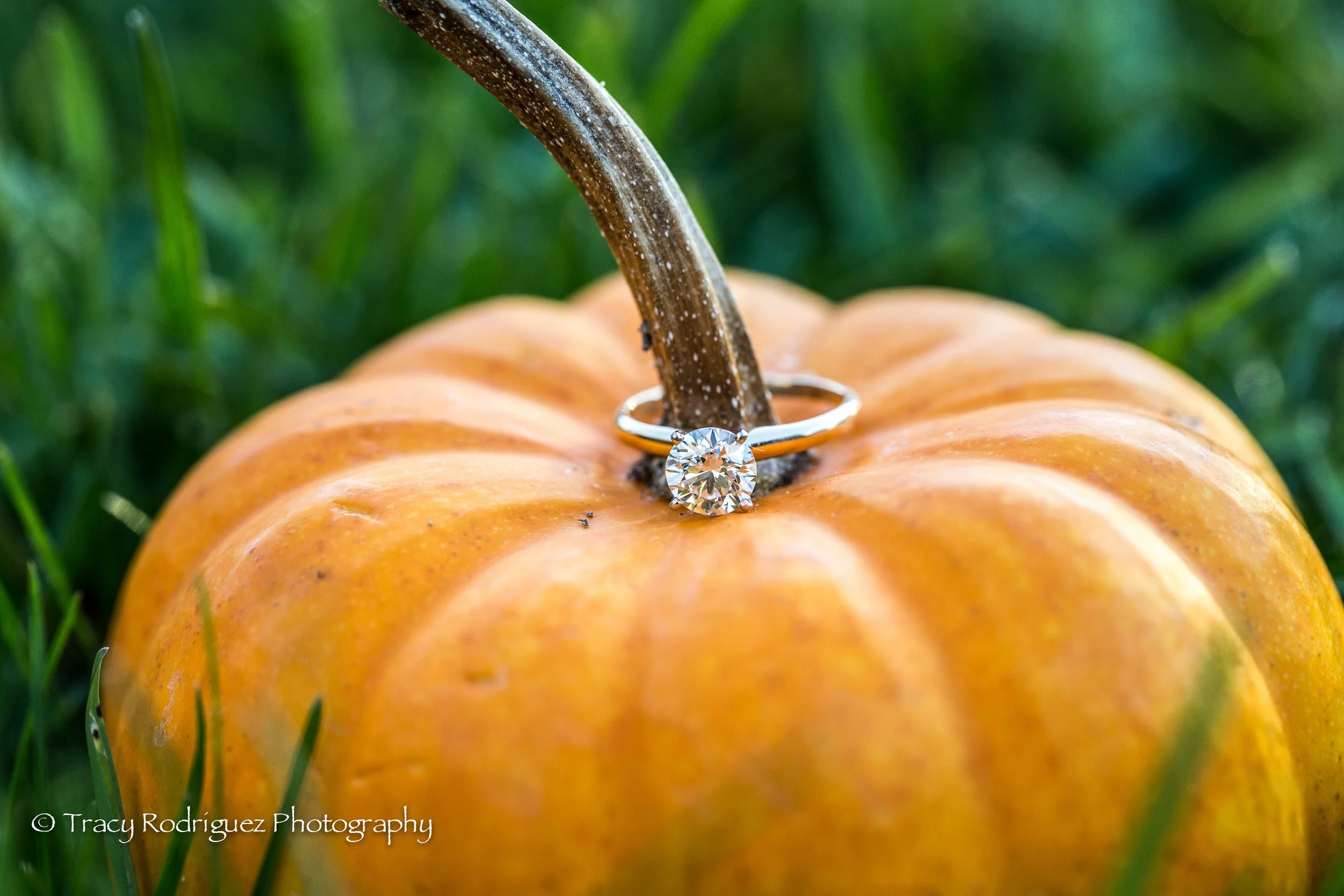 THR-Engagement-AshleyLeBron-5.jpg