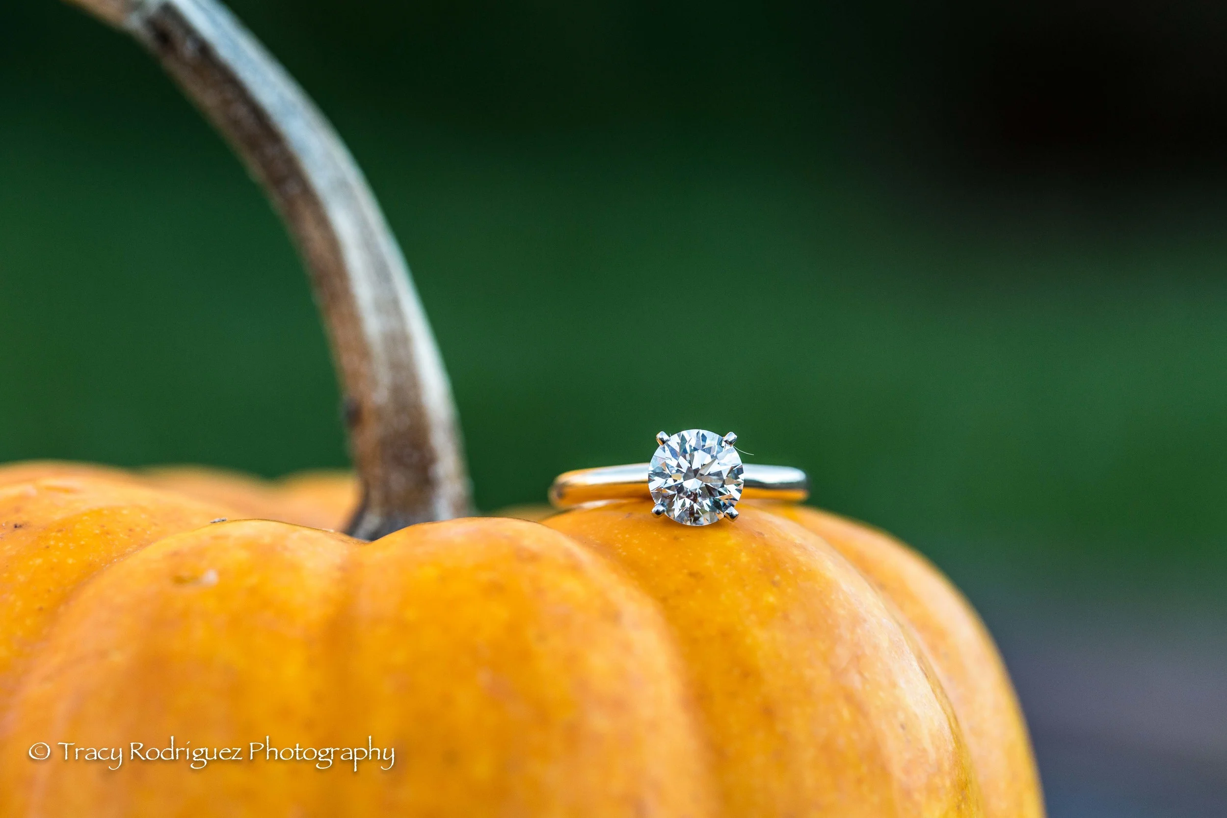 THR-Engagement-AshleyLeBron-6.jpg