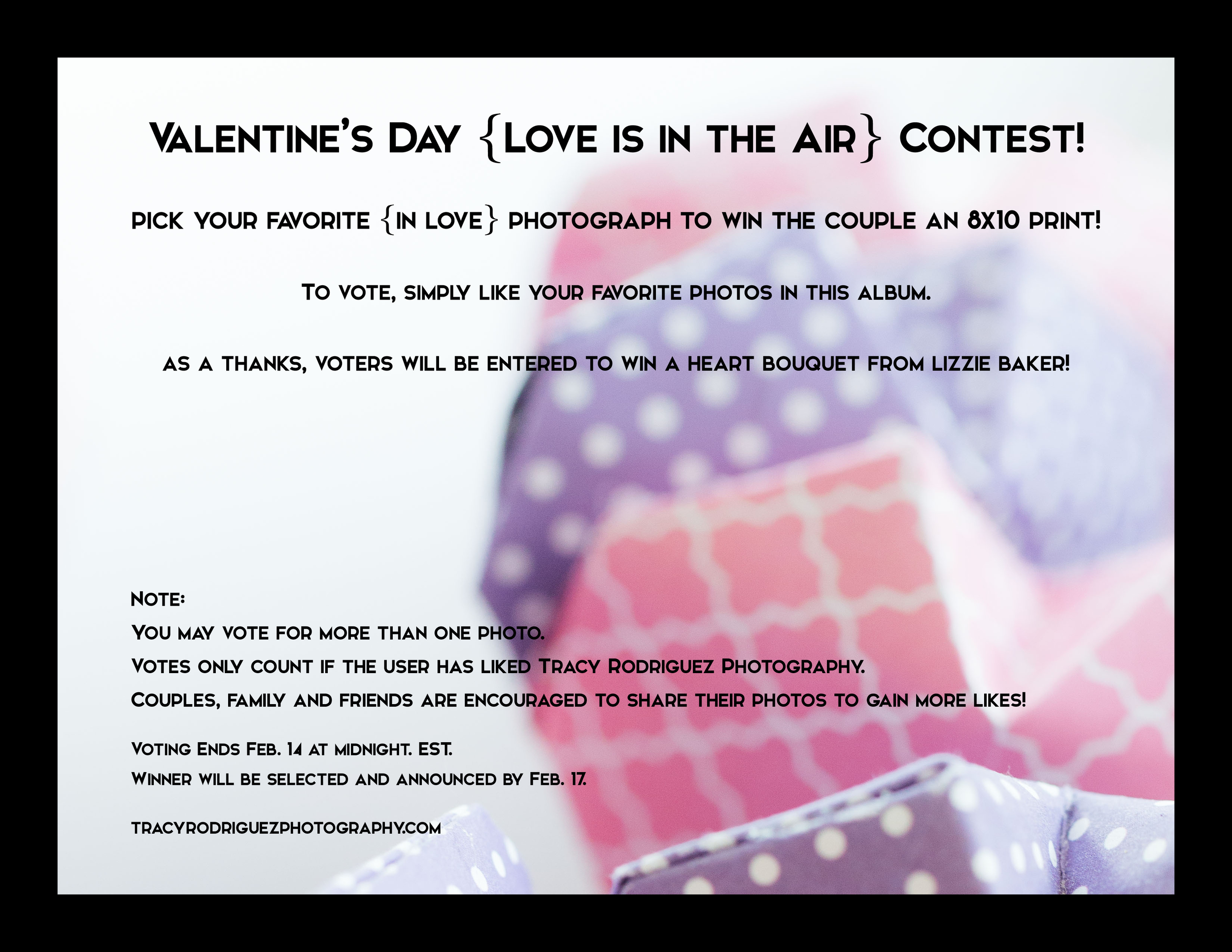 Valentine's Day Contest Details.jpg