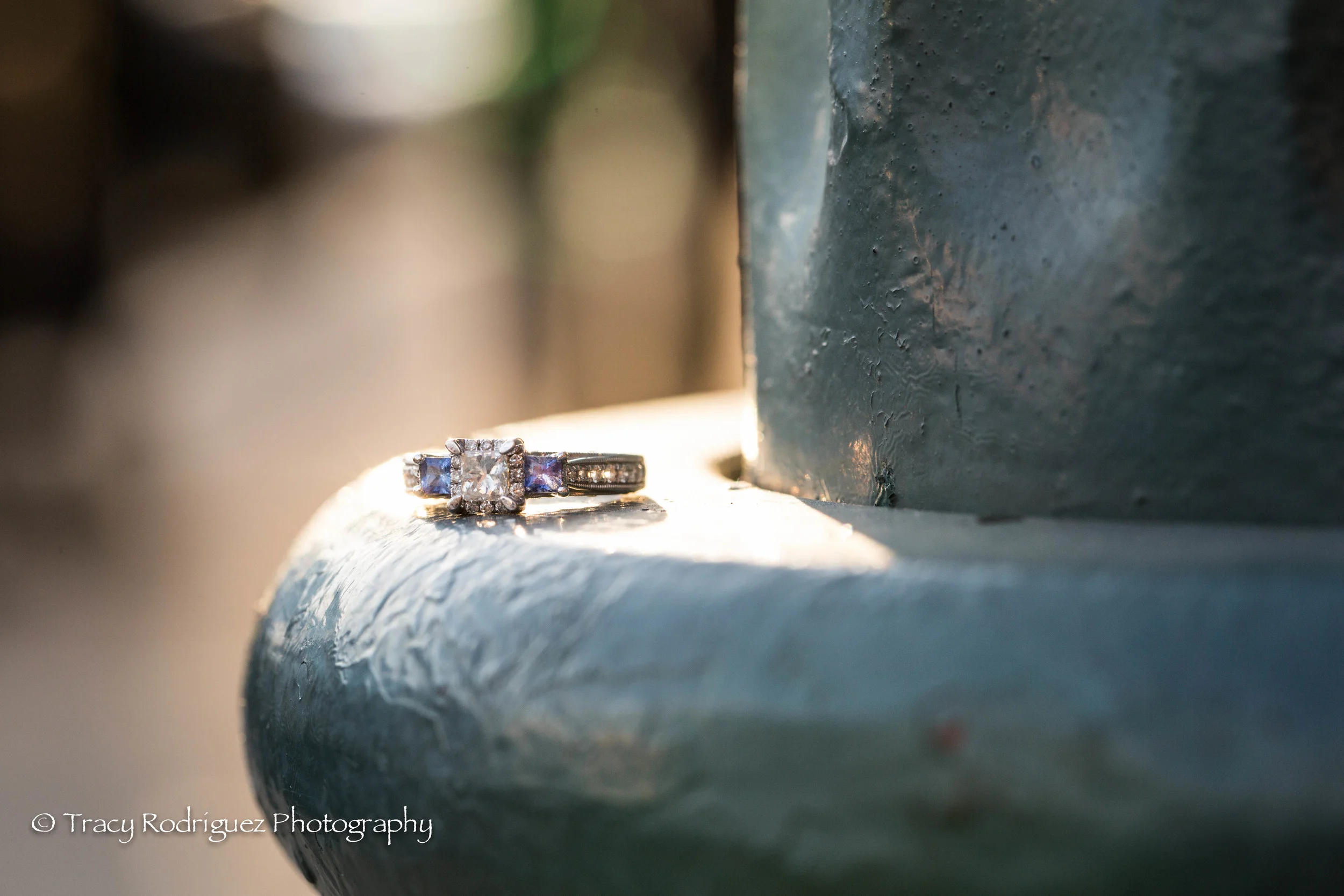 TracyRodriguezPhotography-96.jpg