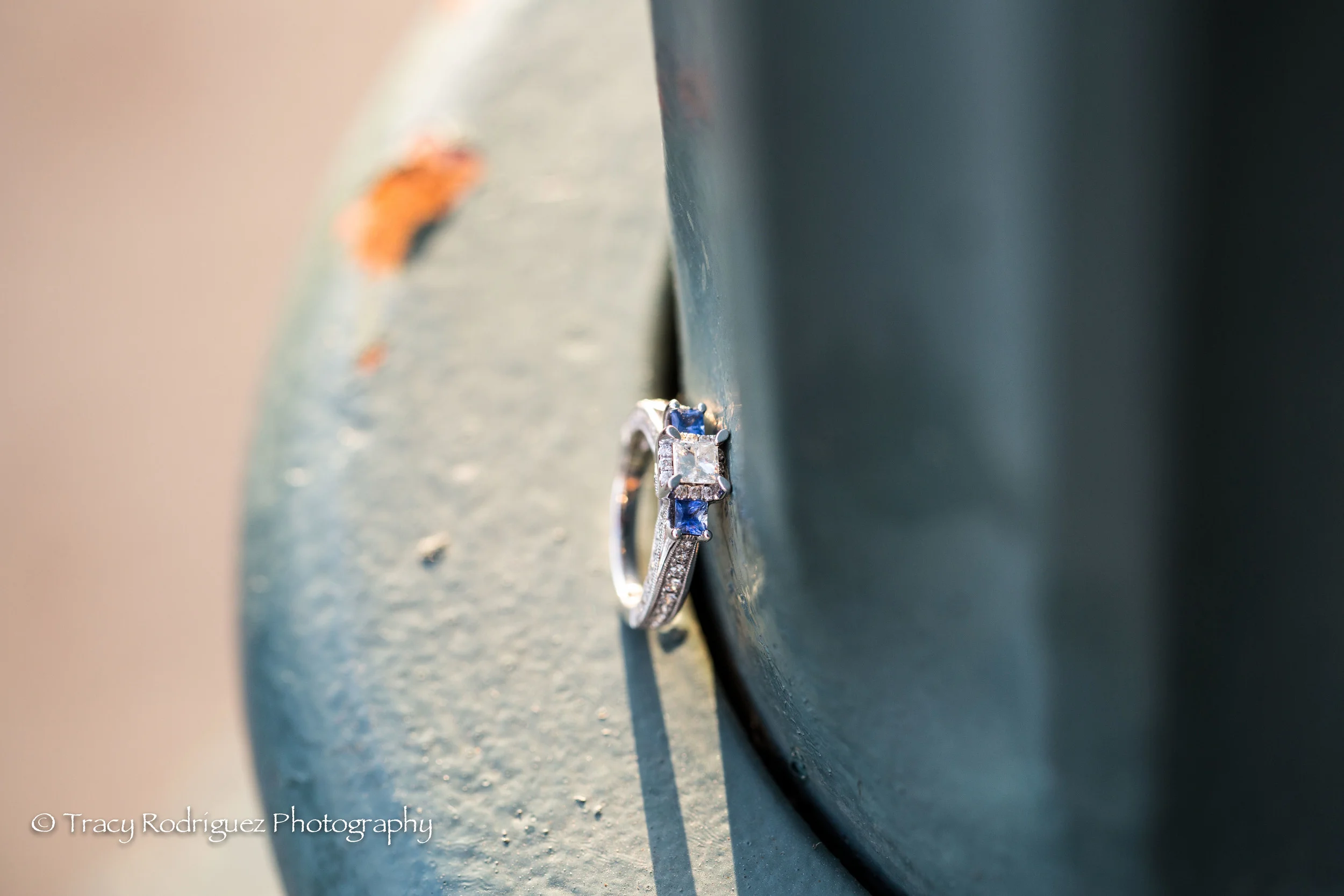 TracyRodriguezPhotography-97.jpg