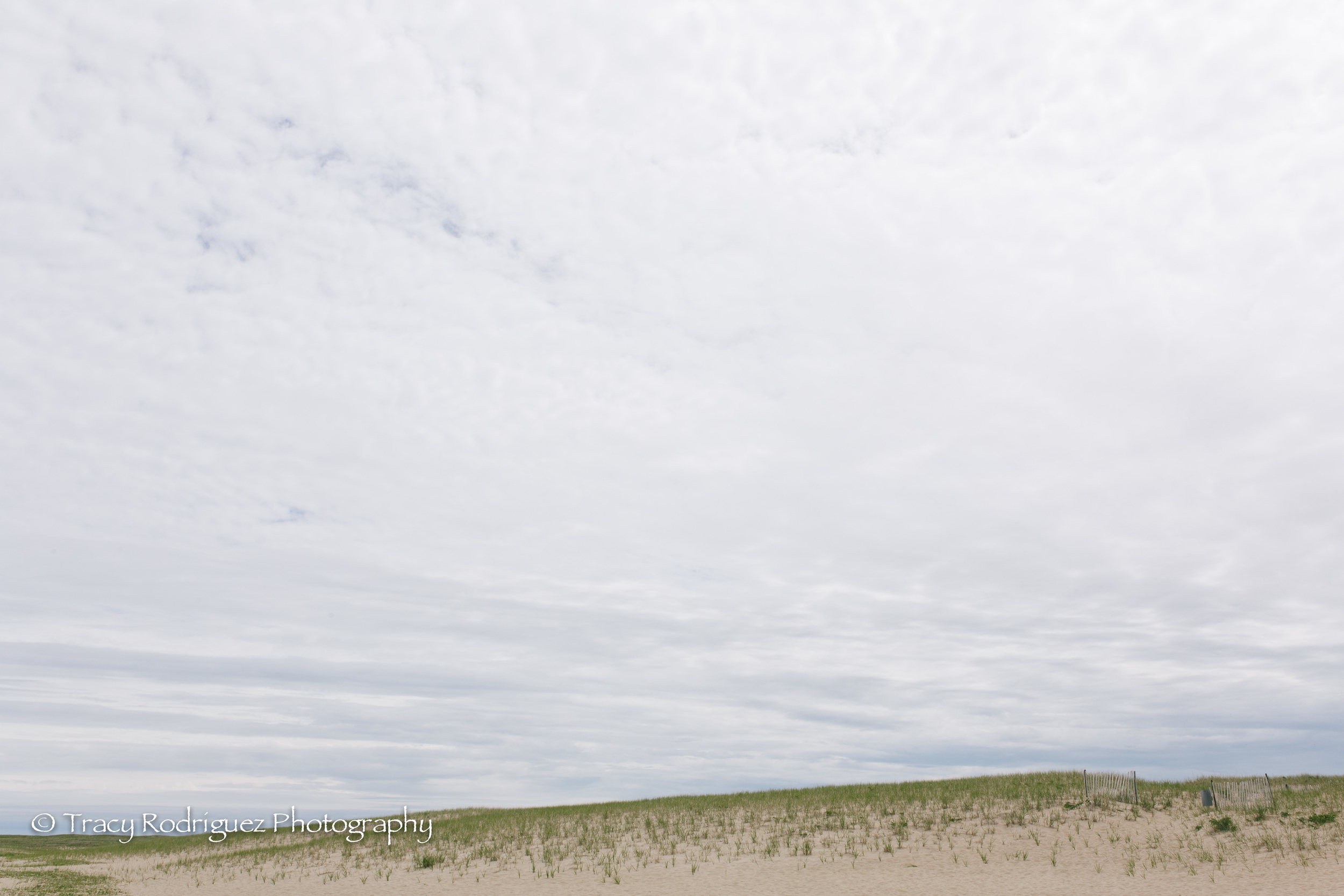 TracyRodriguezPhotography-3.jpg