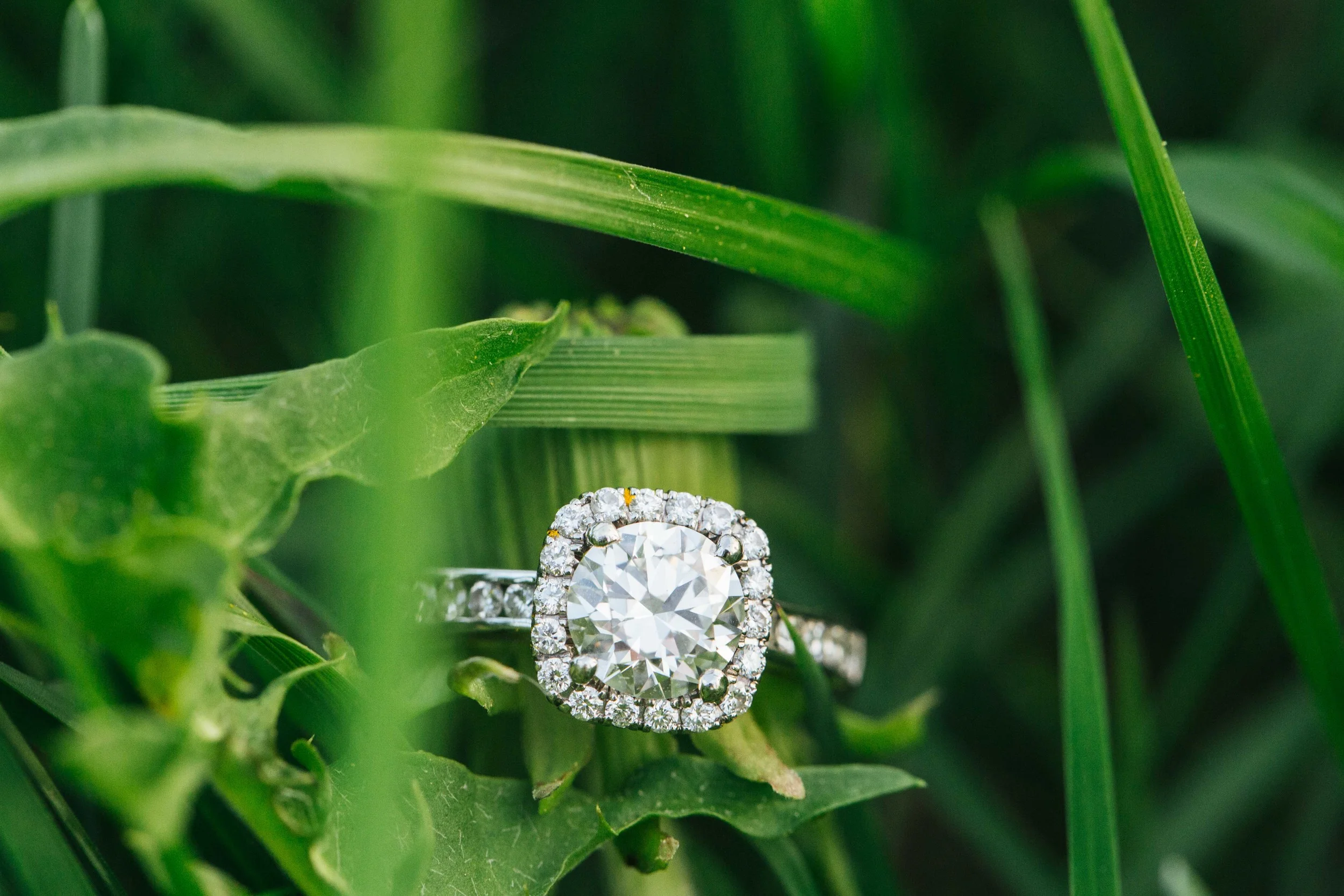 Tracy_Rodriguez_Photography_Engagment_Portfolio_KayleighAndEddie-8043.jpg