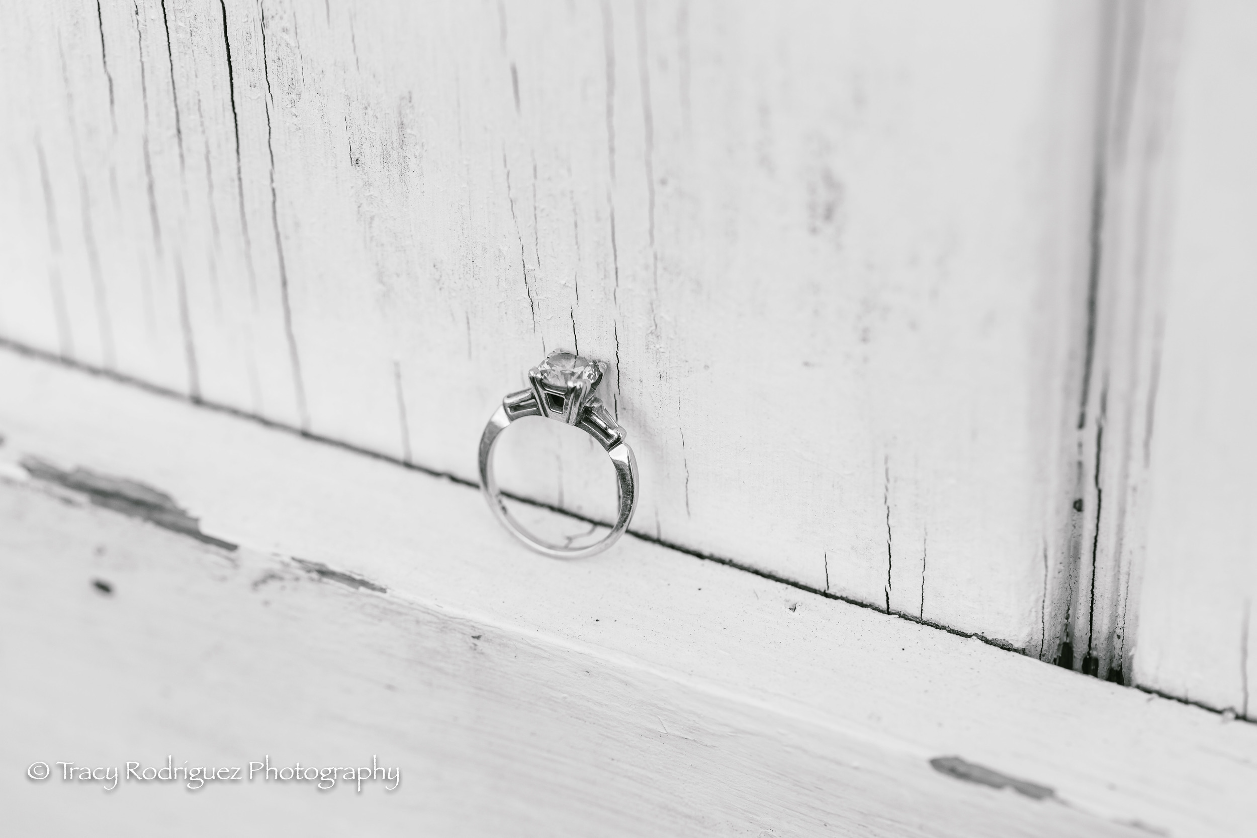 TracyRodriguezPhotography-Engagement-LowRes-24.jpg