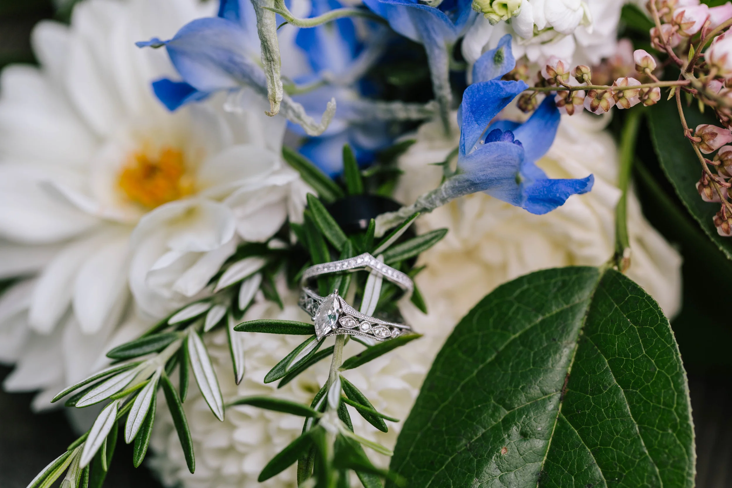 TracyRodriguezPhotography-BostonWeddingPhotography-6L5A1397.jpg