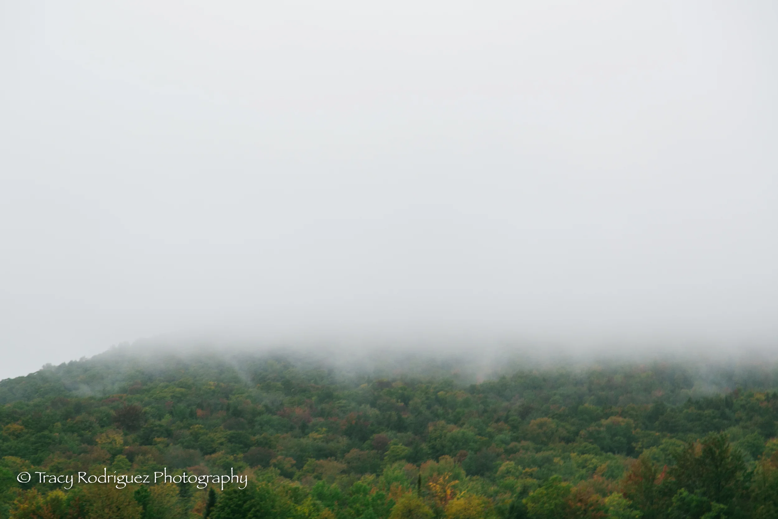 TracyRodriguezPhotography-1-7.jpg