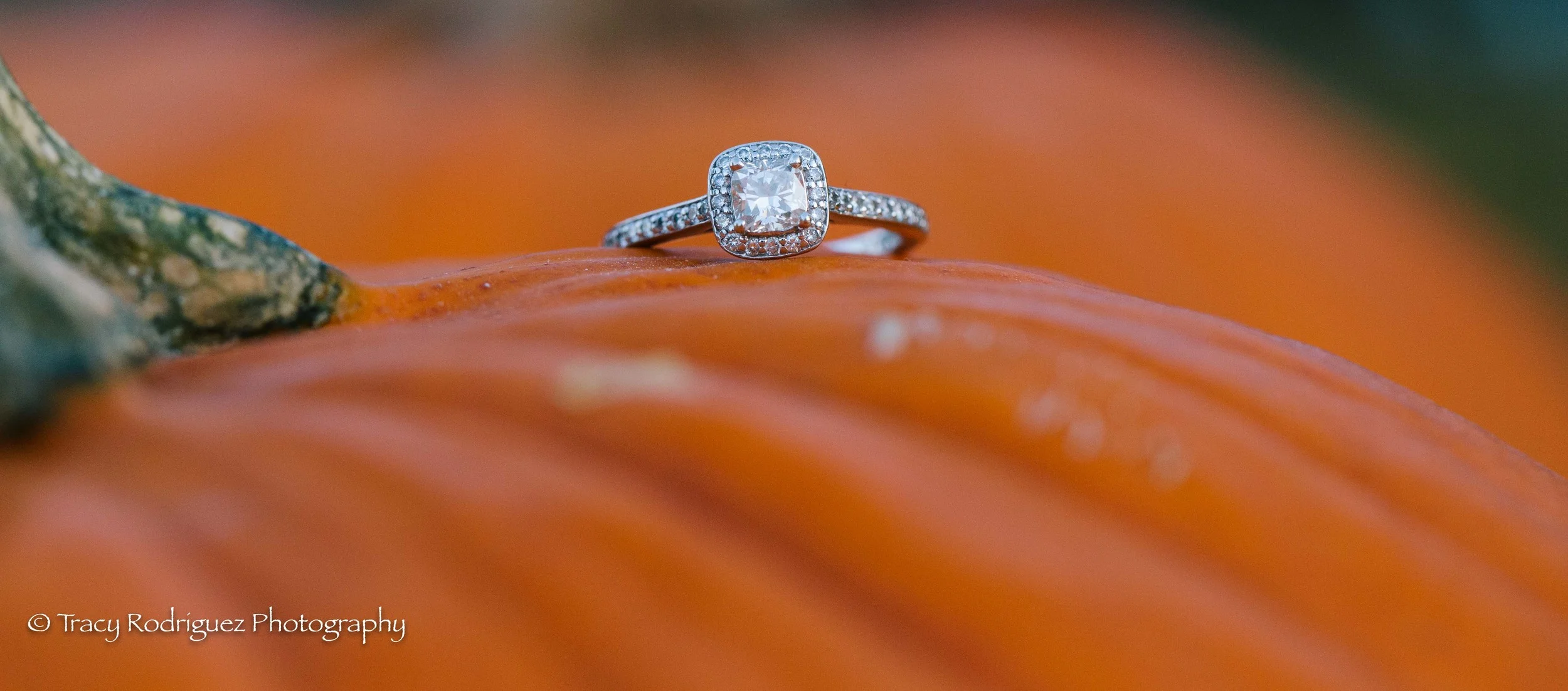 TracyRodriguezPhotography-14.jpg