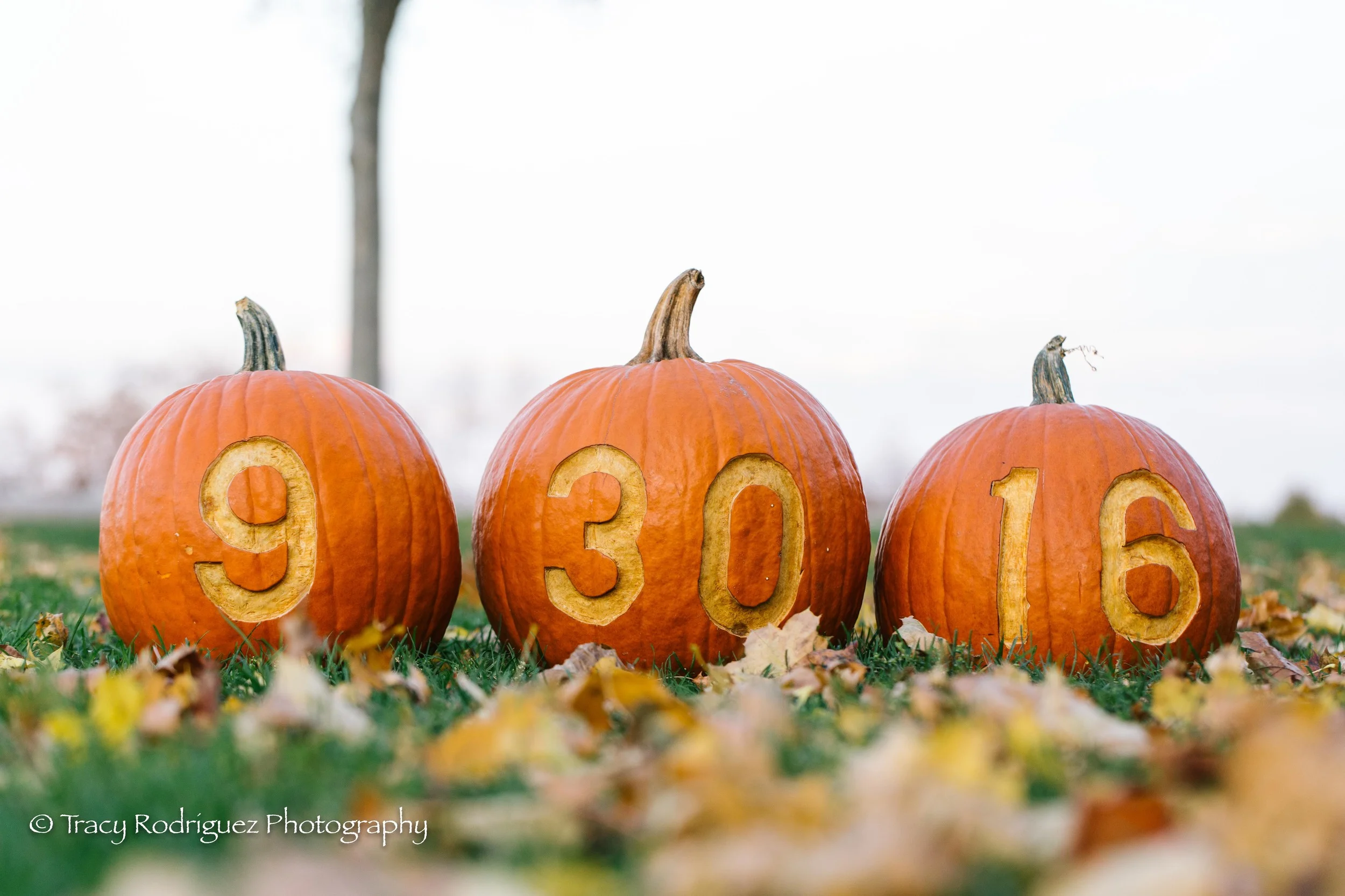 TracyRodriguezPhotography-13.jpg