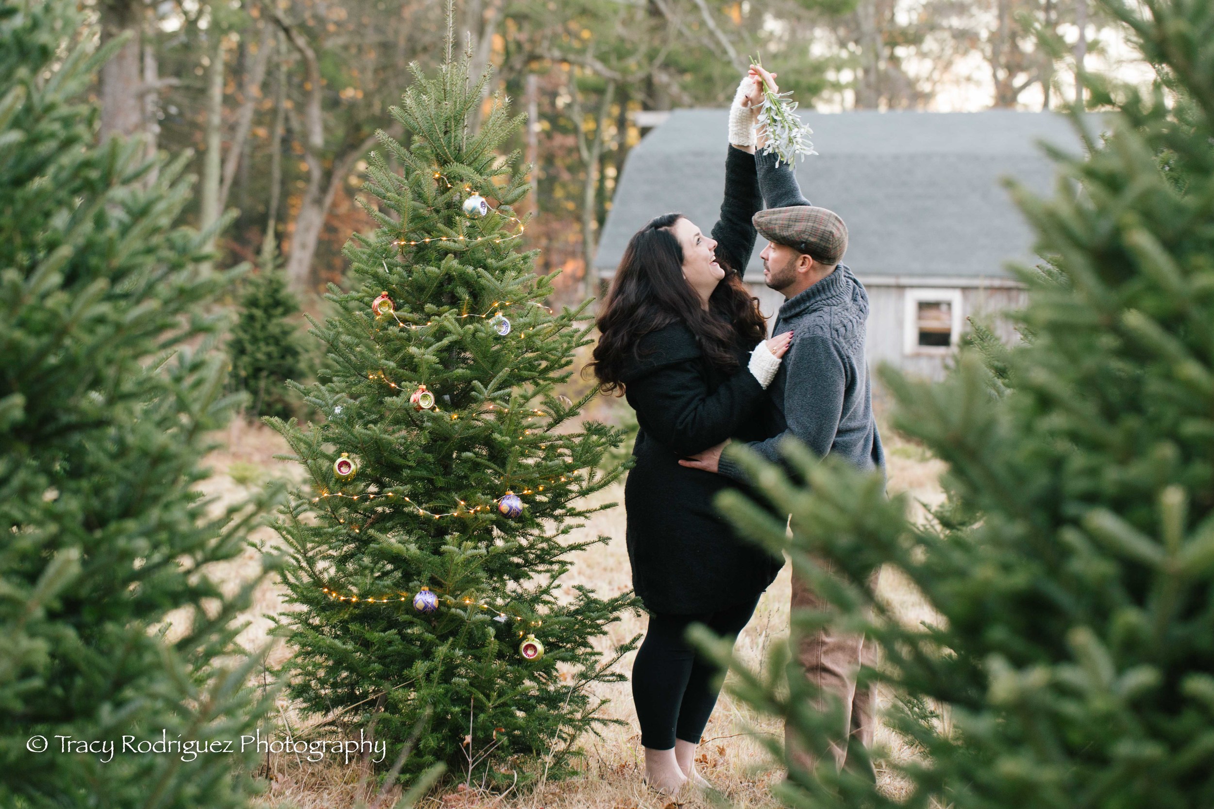 Christmas Tree Farm Engagement Session - Boston Engagement Session by Tracy Rodriguez Photography