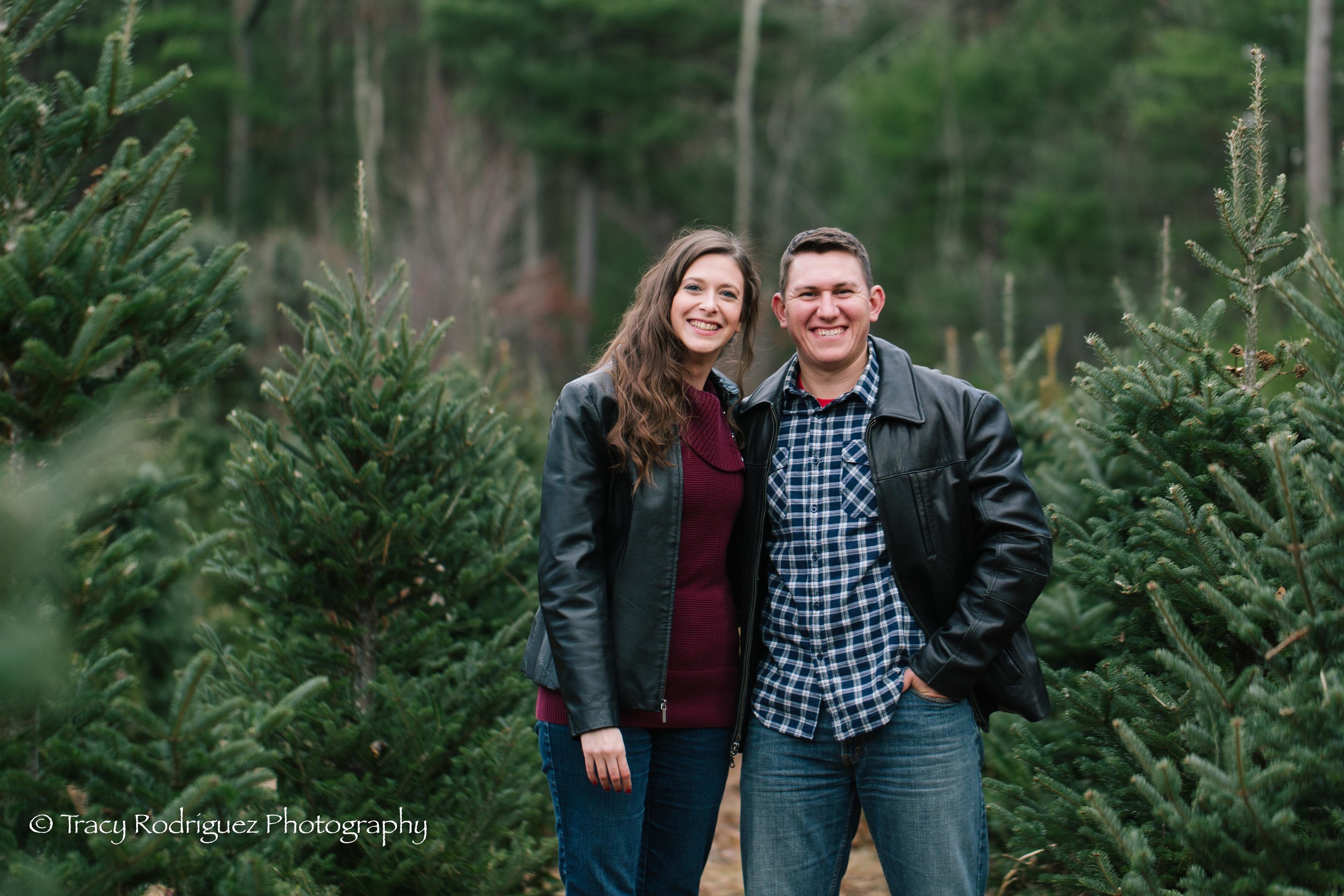 Christmas Tree Farm Engagement Session - Boston Engagement Session by Tracy Rodriguez Photography