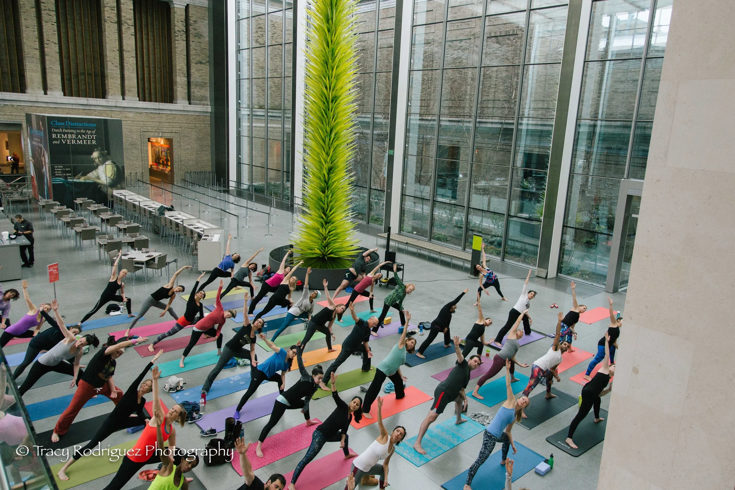 Boston Yoga Photographer at the MFA - Tracy Rodriguez Photography