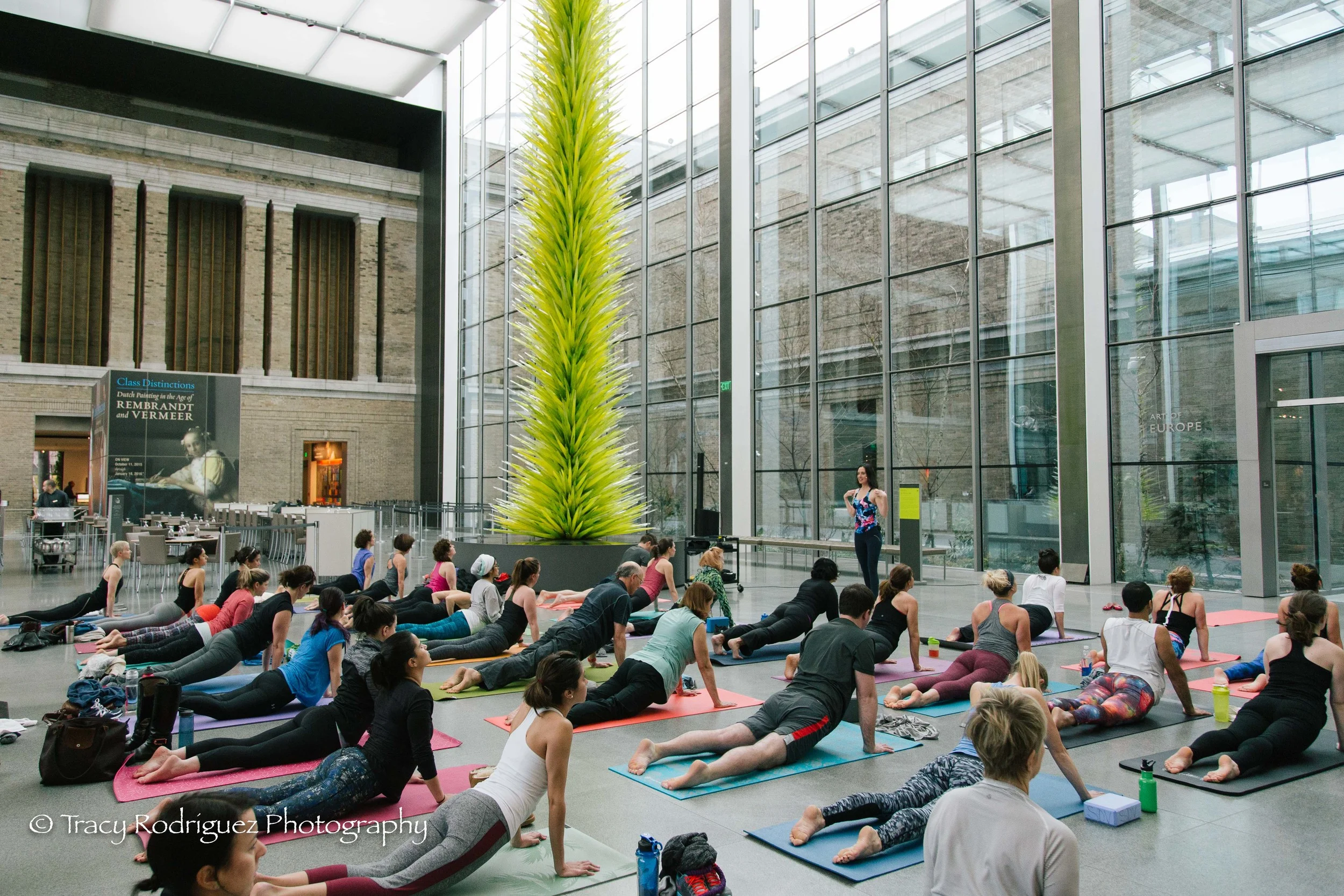 Boston Yoga Photographer at the MFA - Tracy Rodriguez Photography
